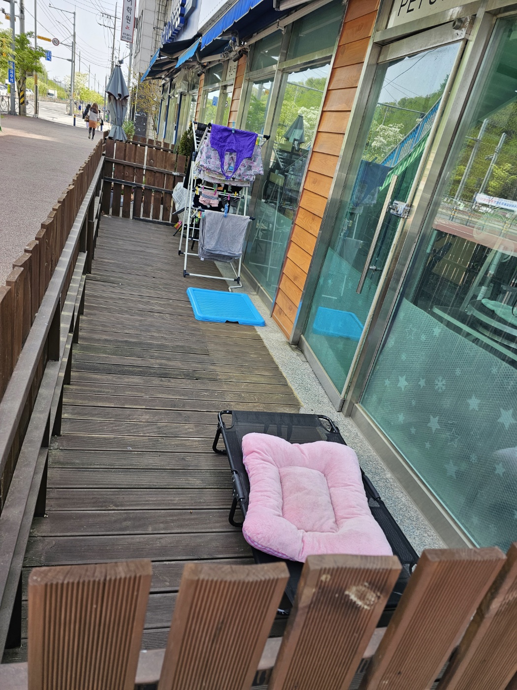 펫스타일 대표 이미지