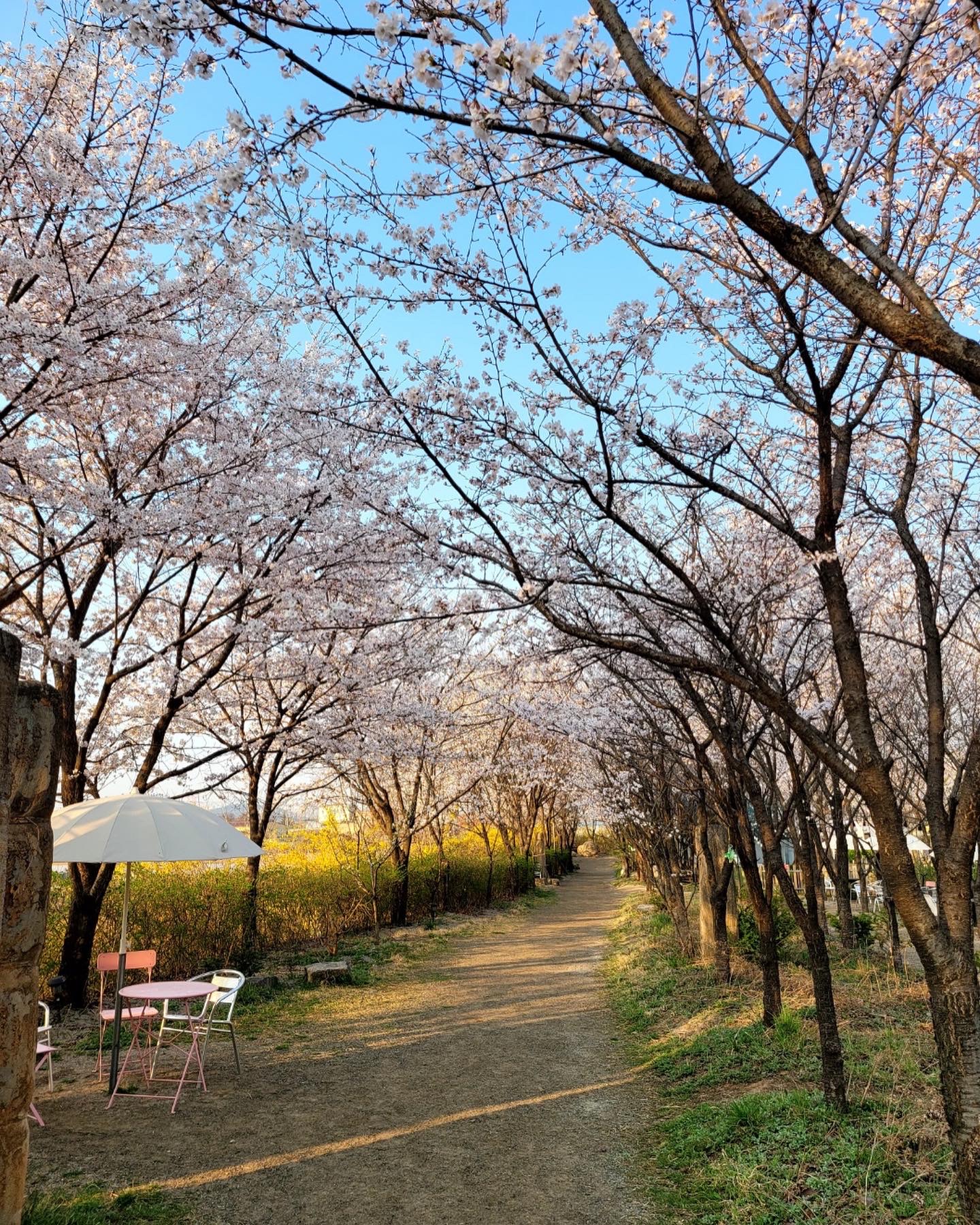 사진 1