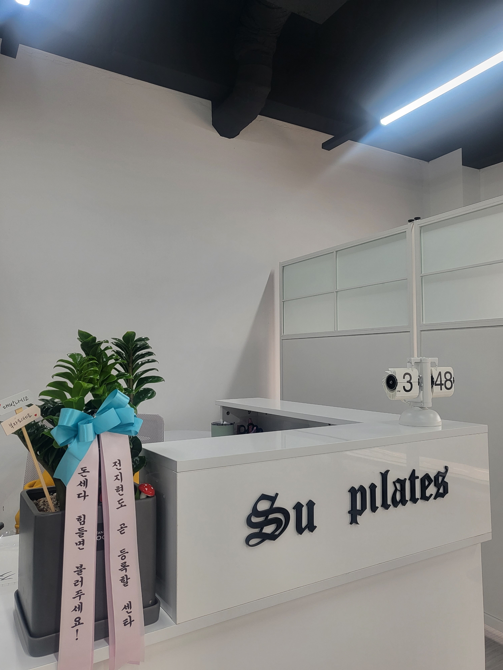 수 필라테스 대표 이미지