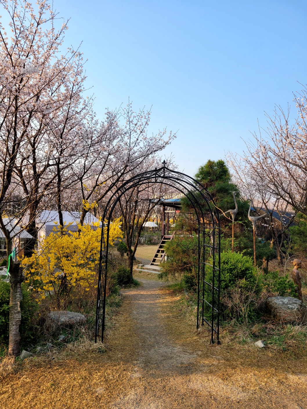 사진 4