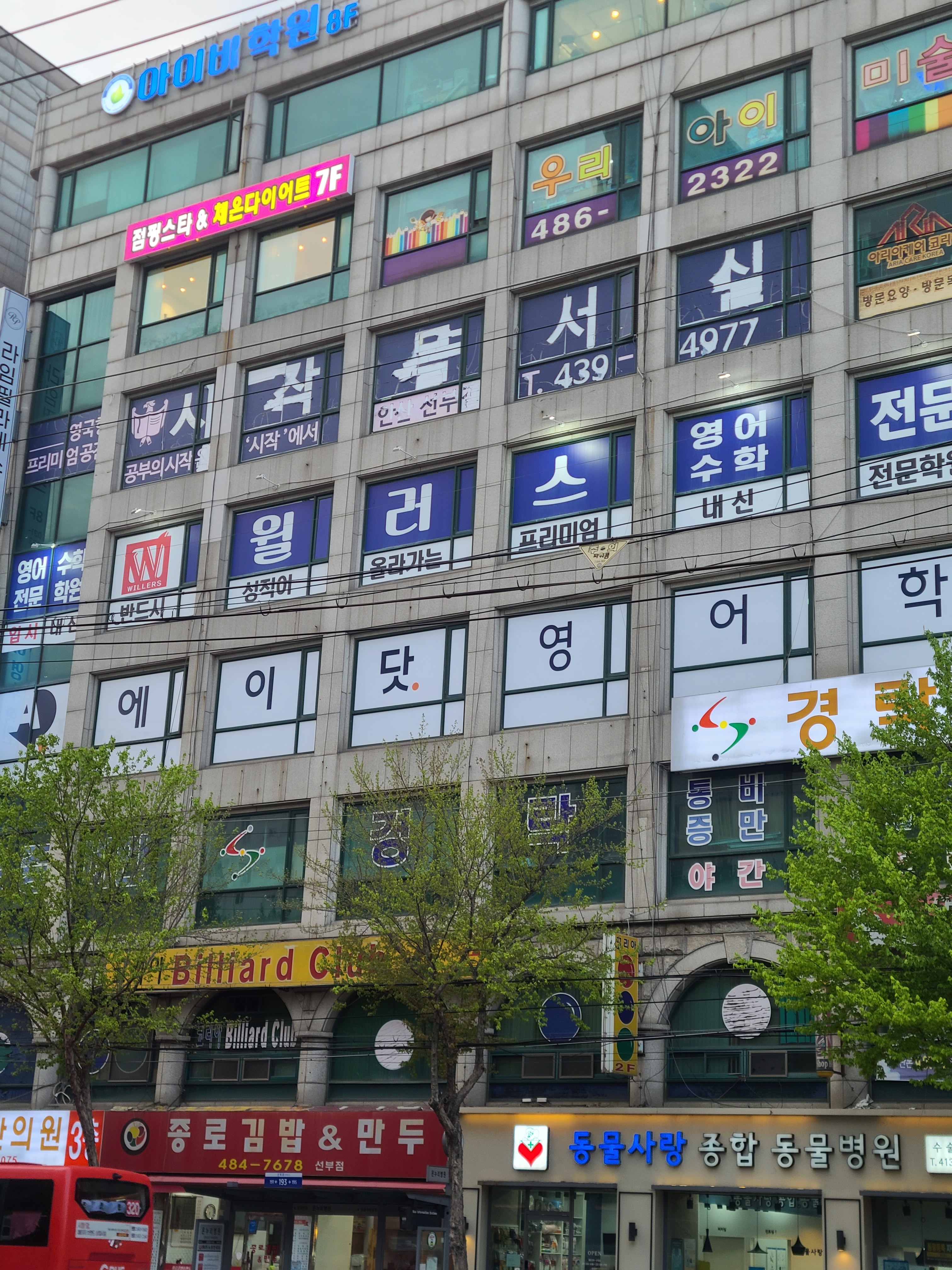 점핑스타 체온다이어트