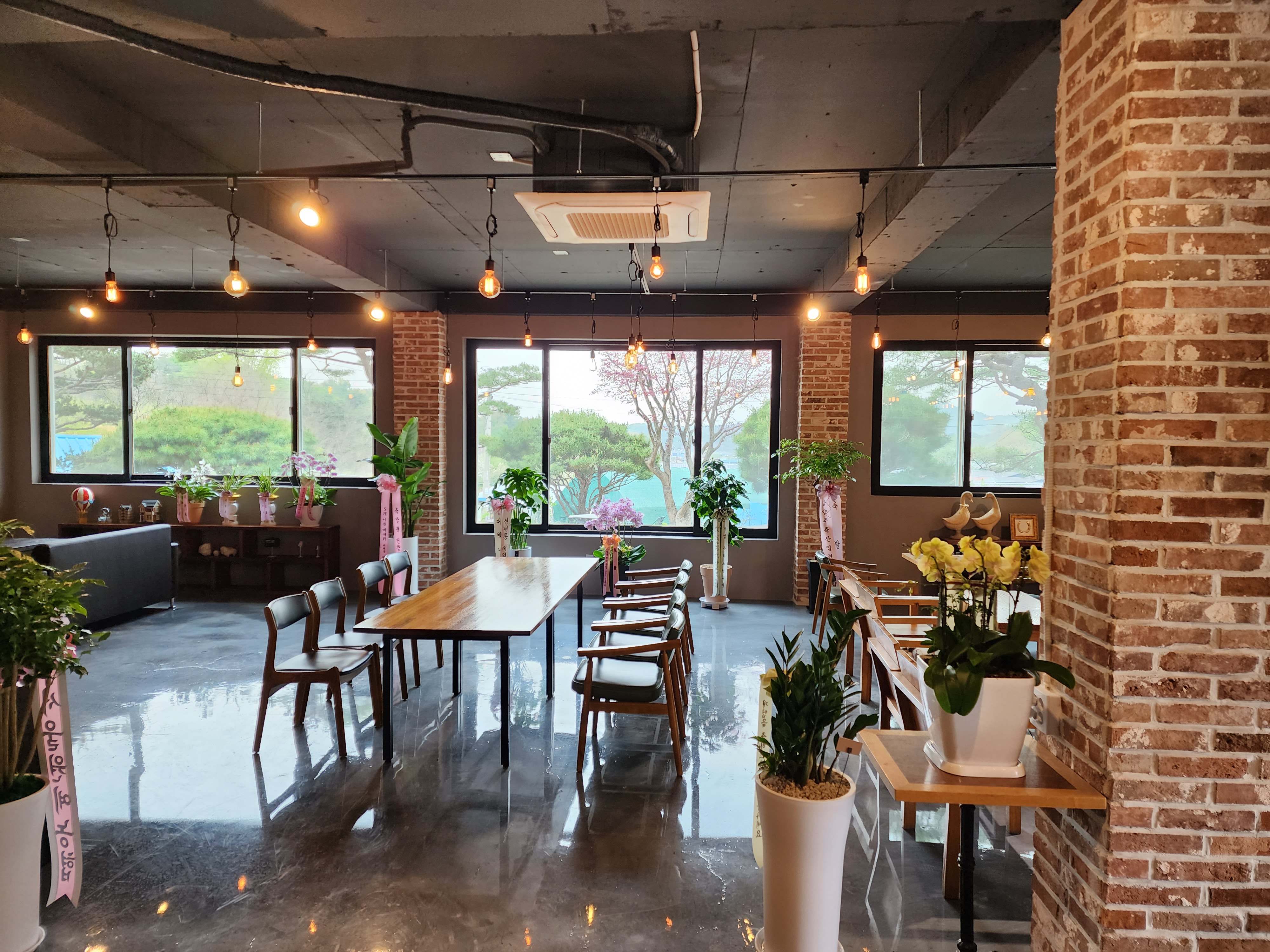 아이올라 사진 1