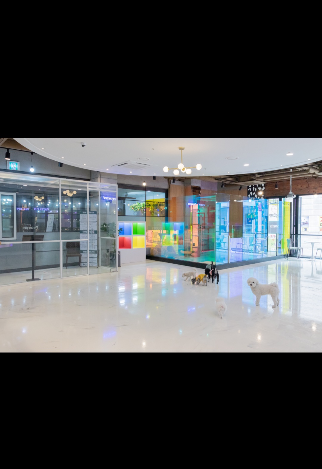 피터펫카페 일산점 대표 이미지