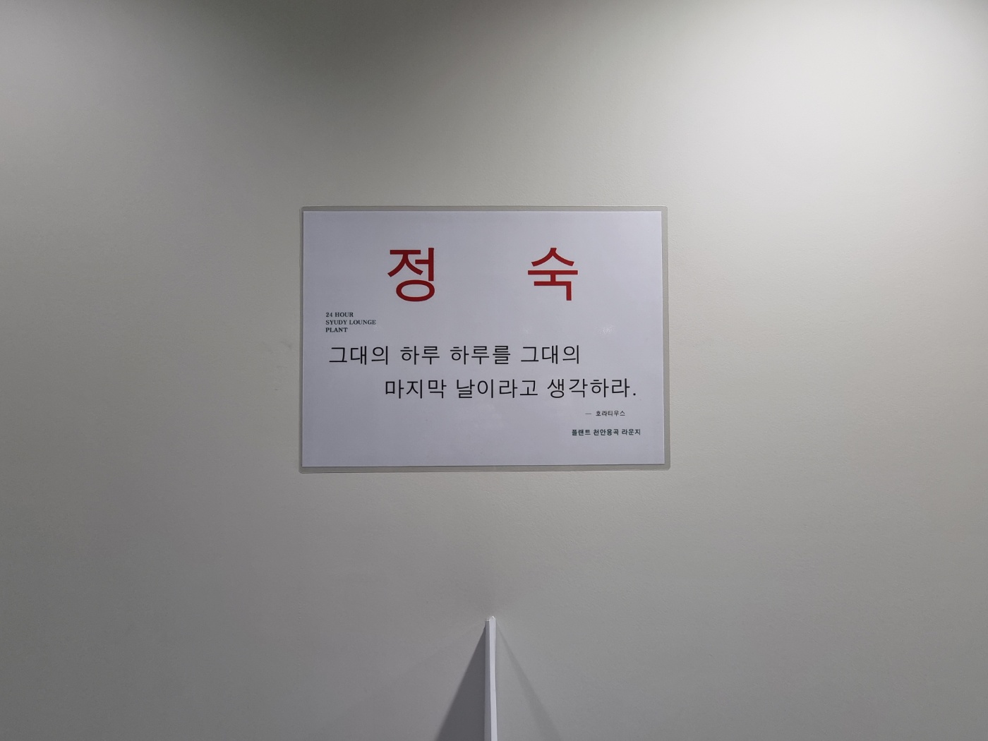 업체사진