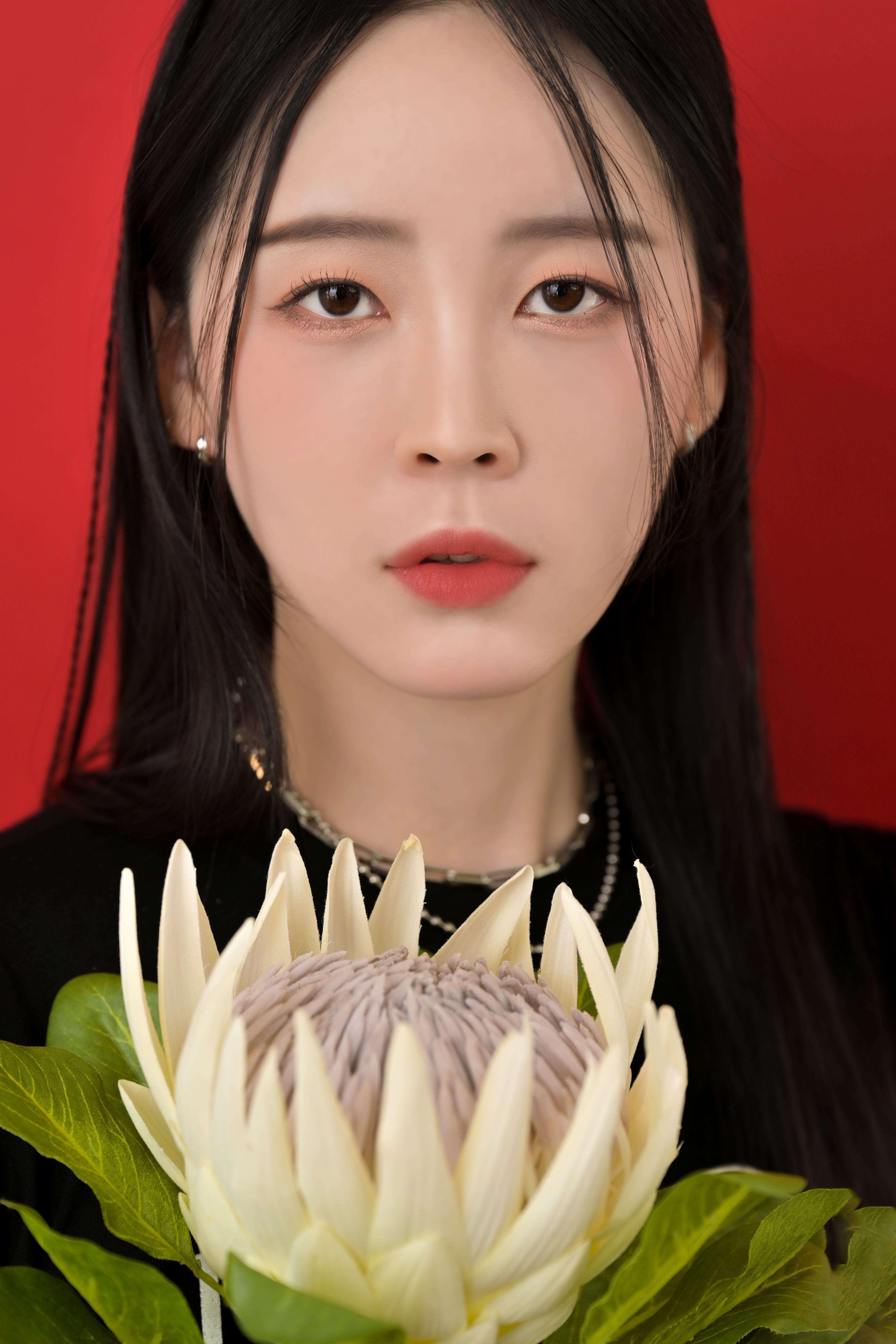 곰슬스튜디오