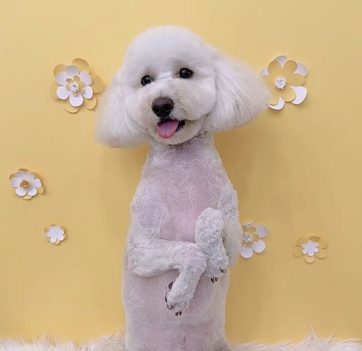 라라몽 대표 이미지