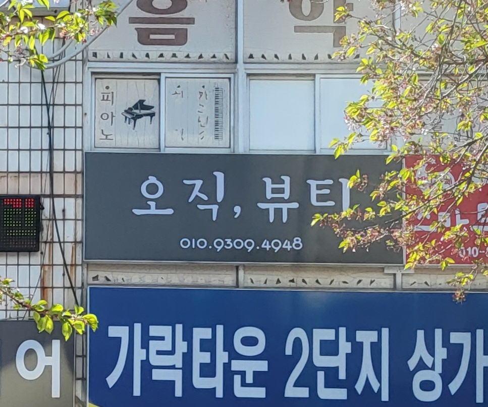 오직,뷰티
