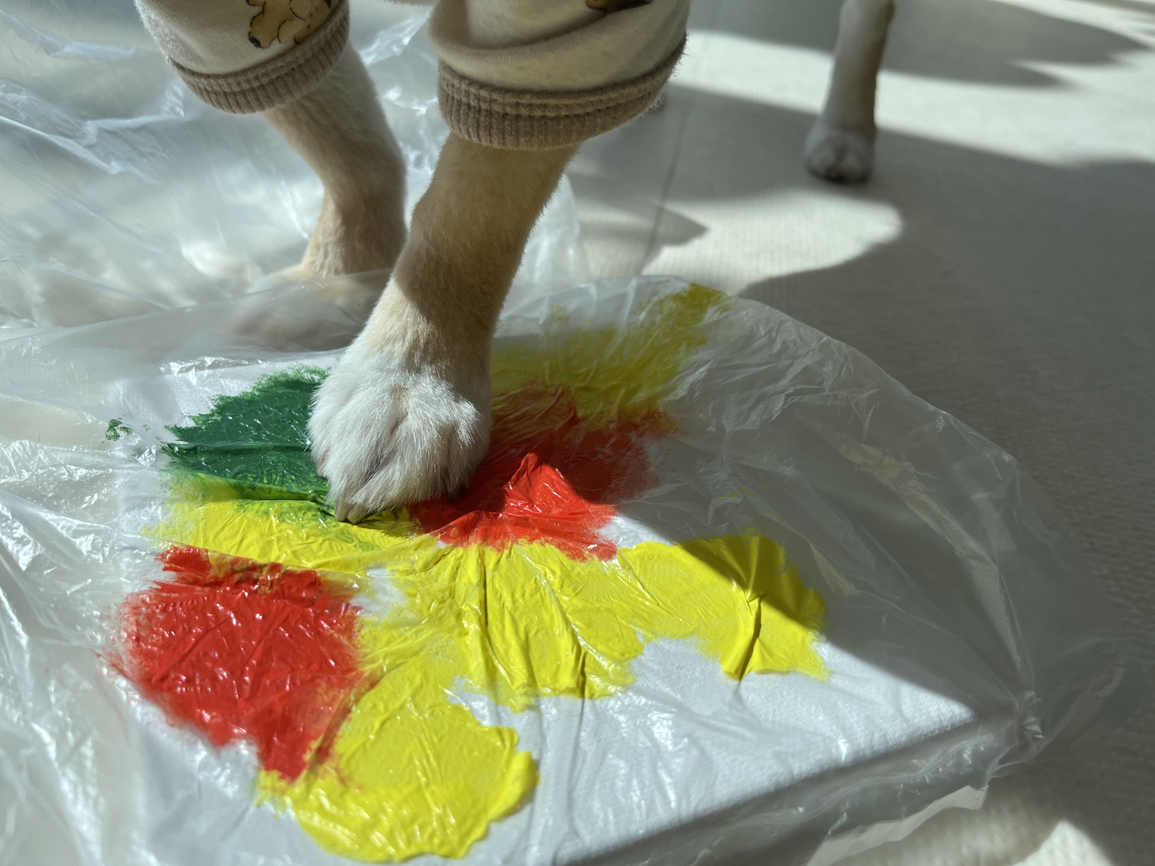 시오꾸꾸 대표 이미지