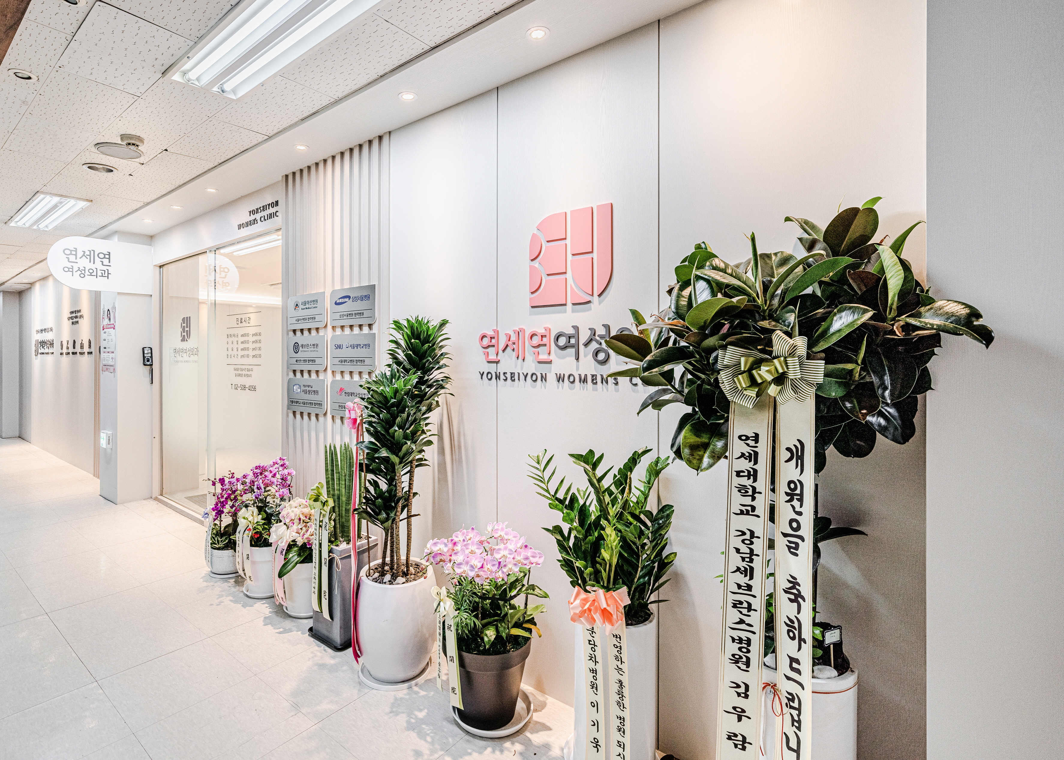 연세연여성외과의원