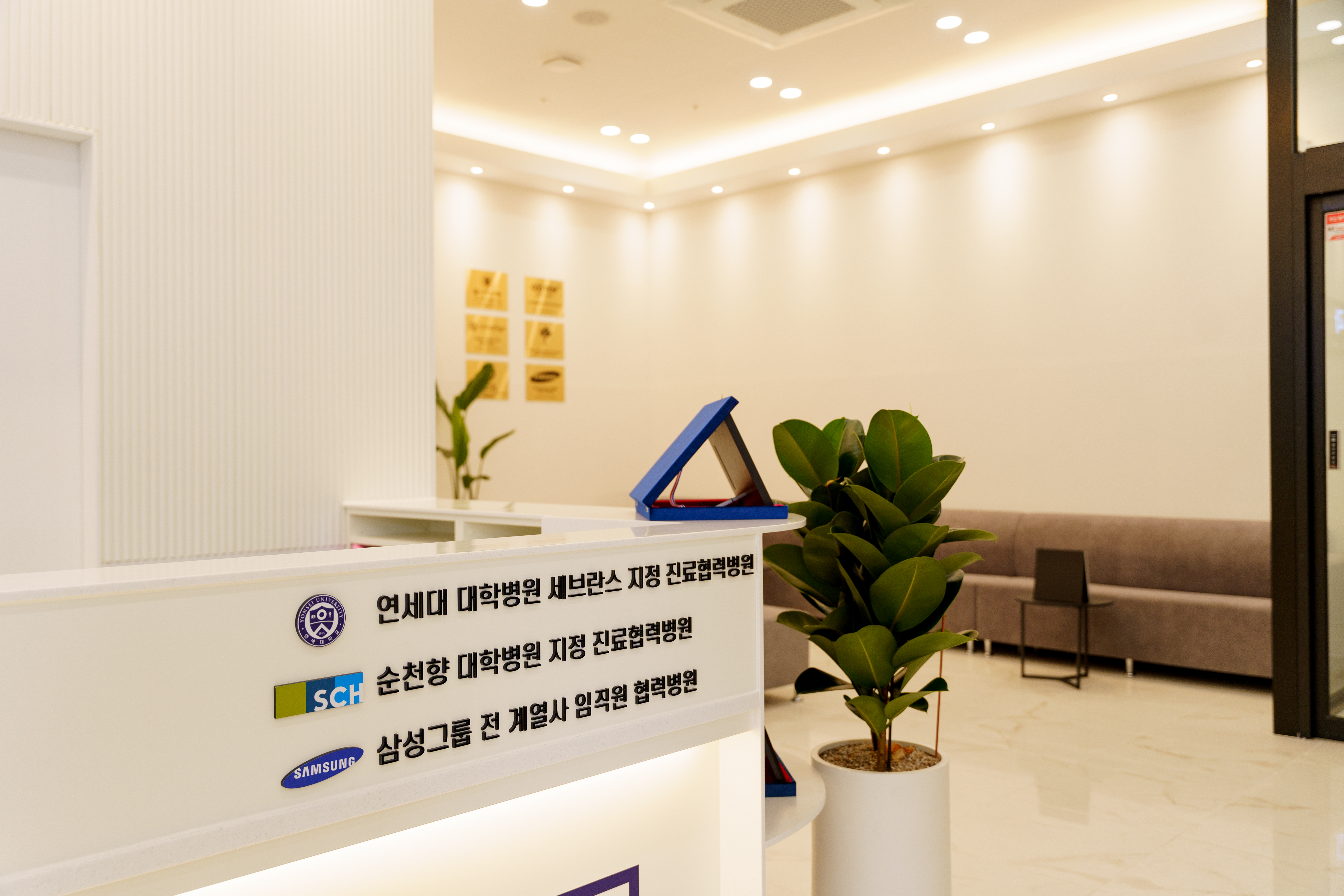 연세뉴치과의원 천안아산역KTX 본점 대표 이미지