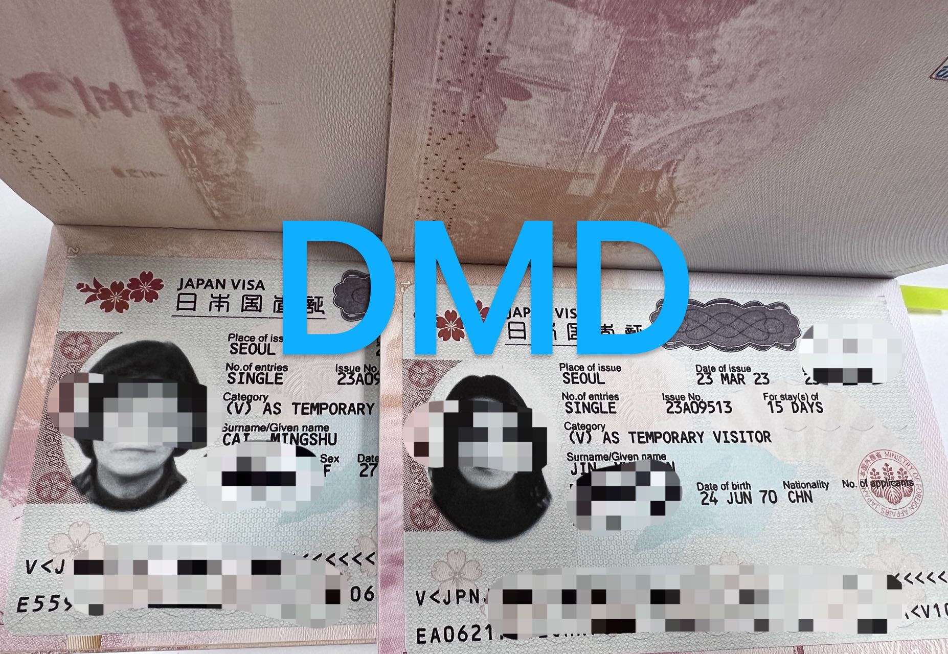 DMD한중여행사
