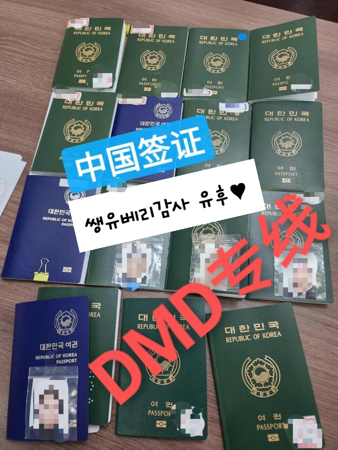 DMD한중여행사