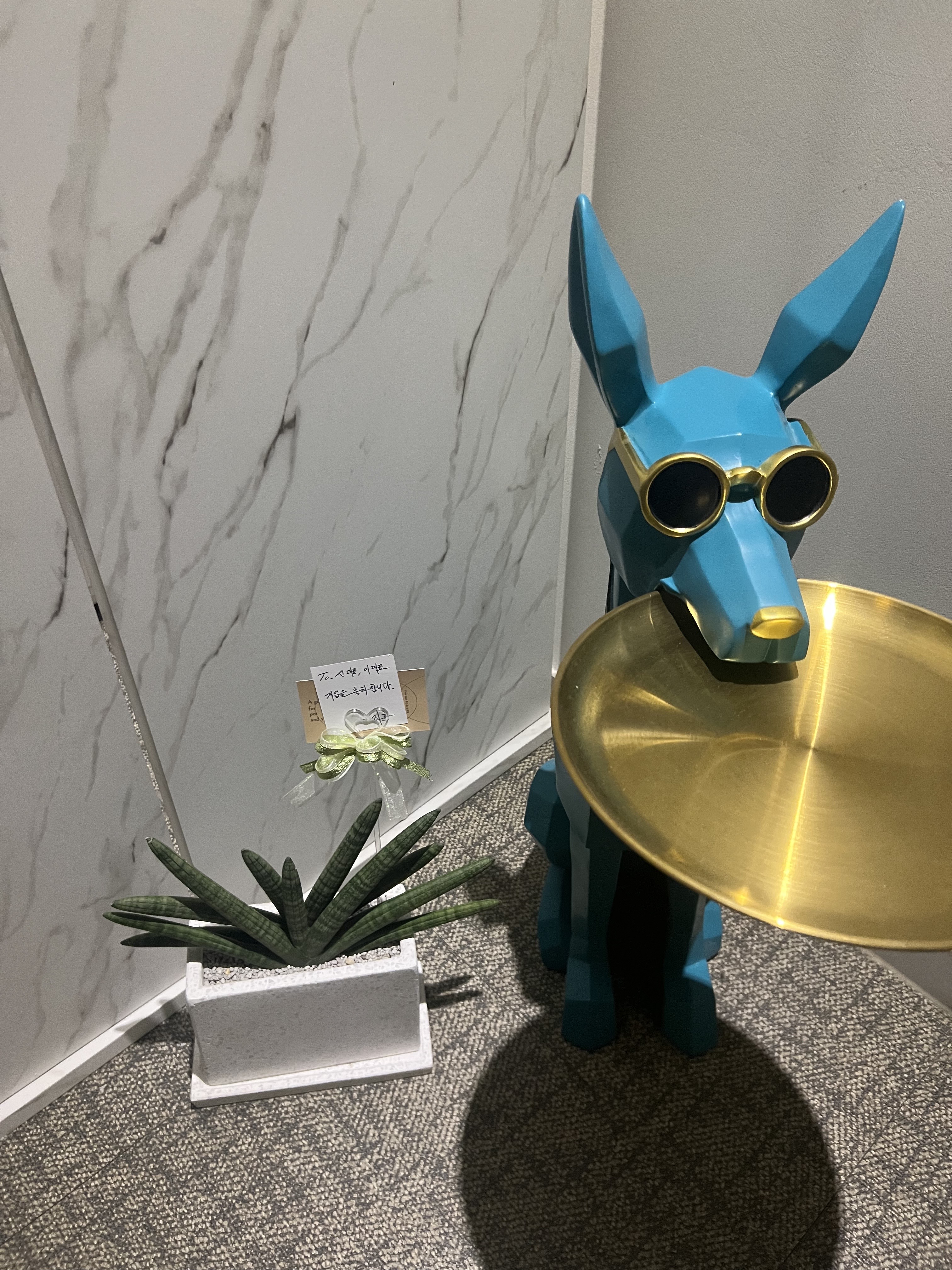 소프트테라피 (구로디지털단지역) 매장 사진 5