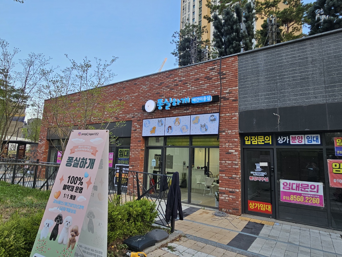 퐁실하개 대표 이미지