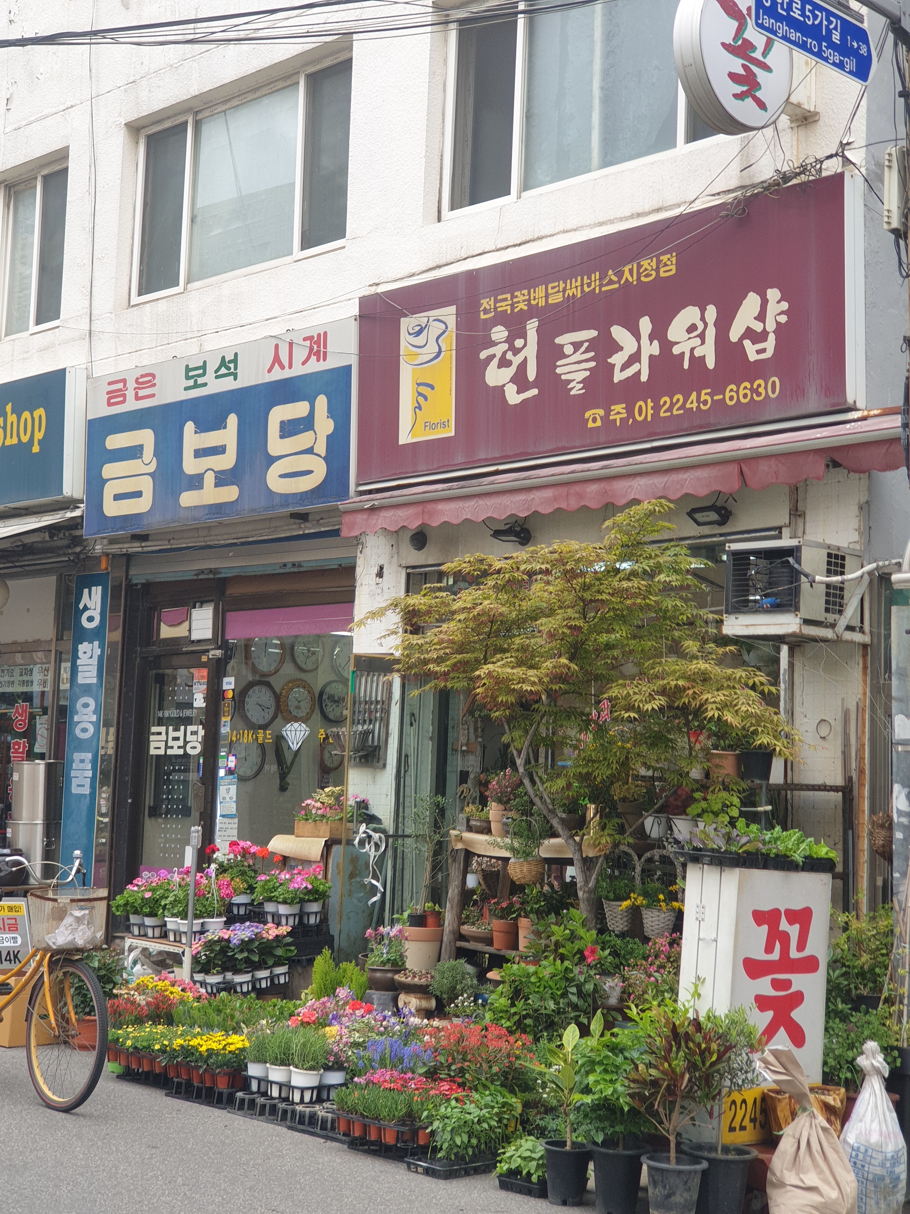 현플라워