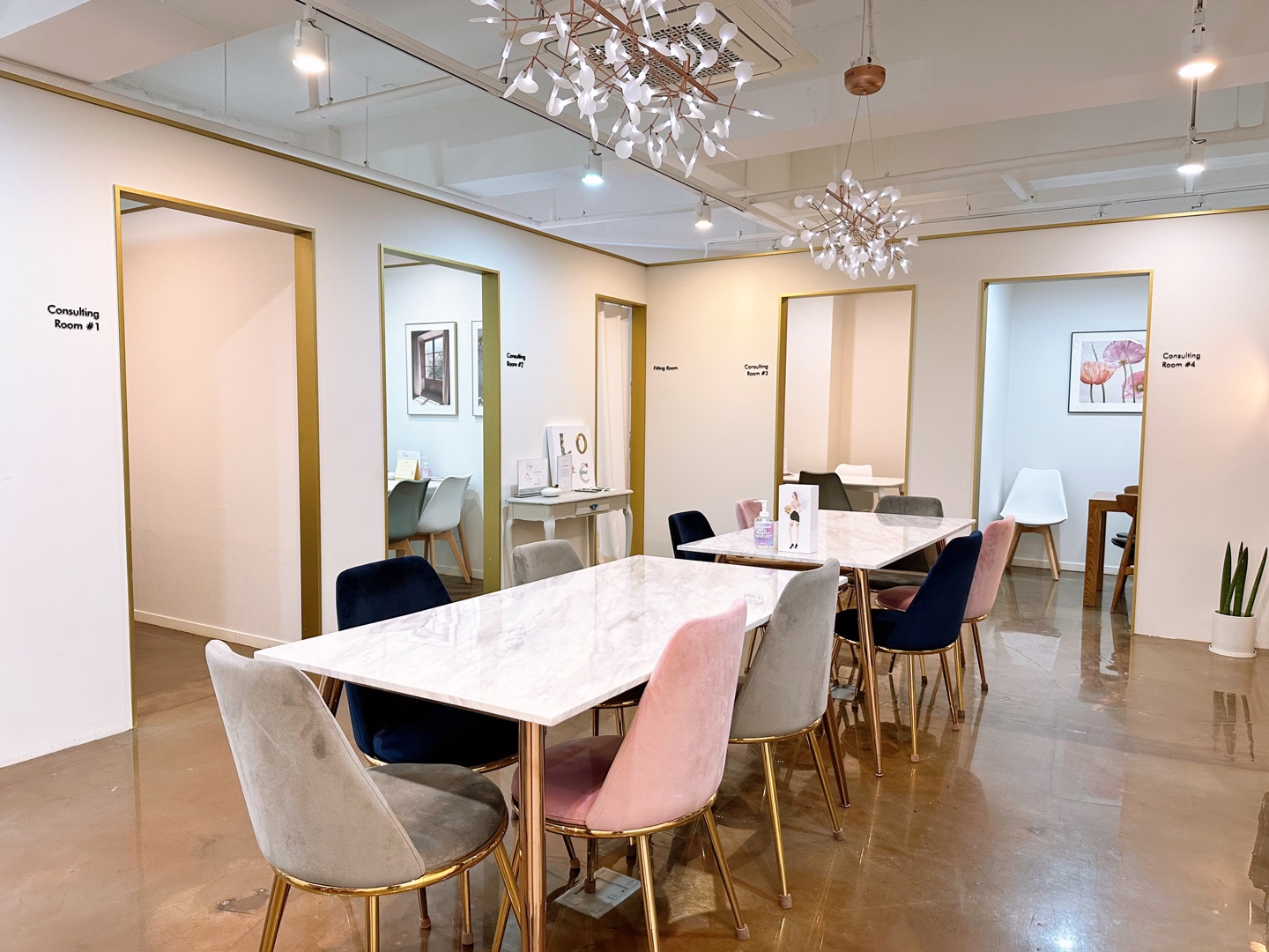 세인트플래닝 대표 이미지