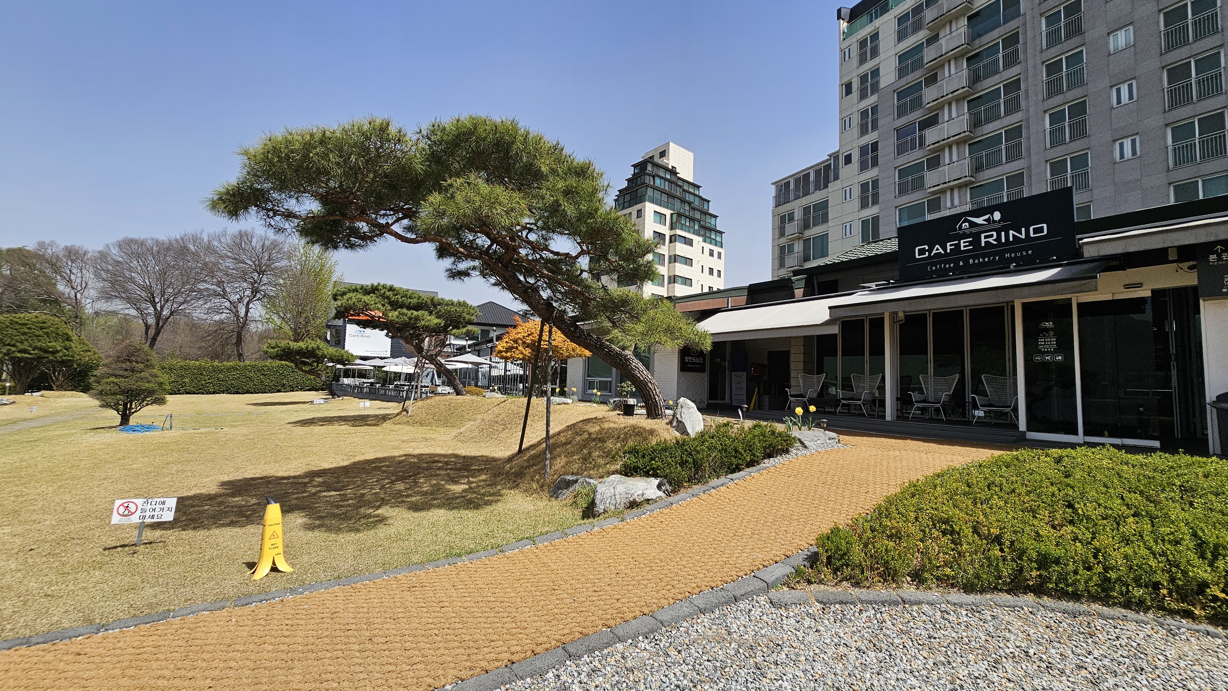 카페리노