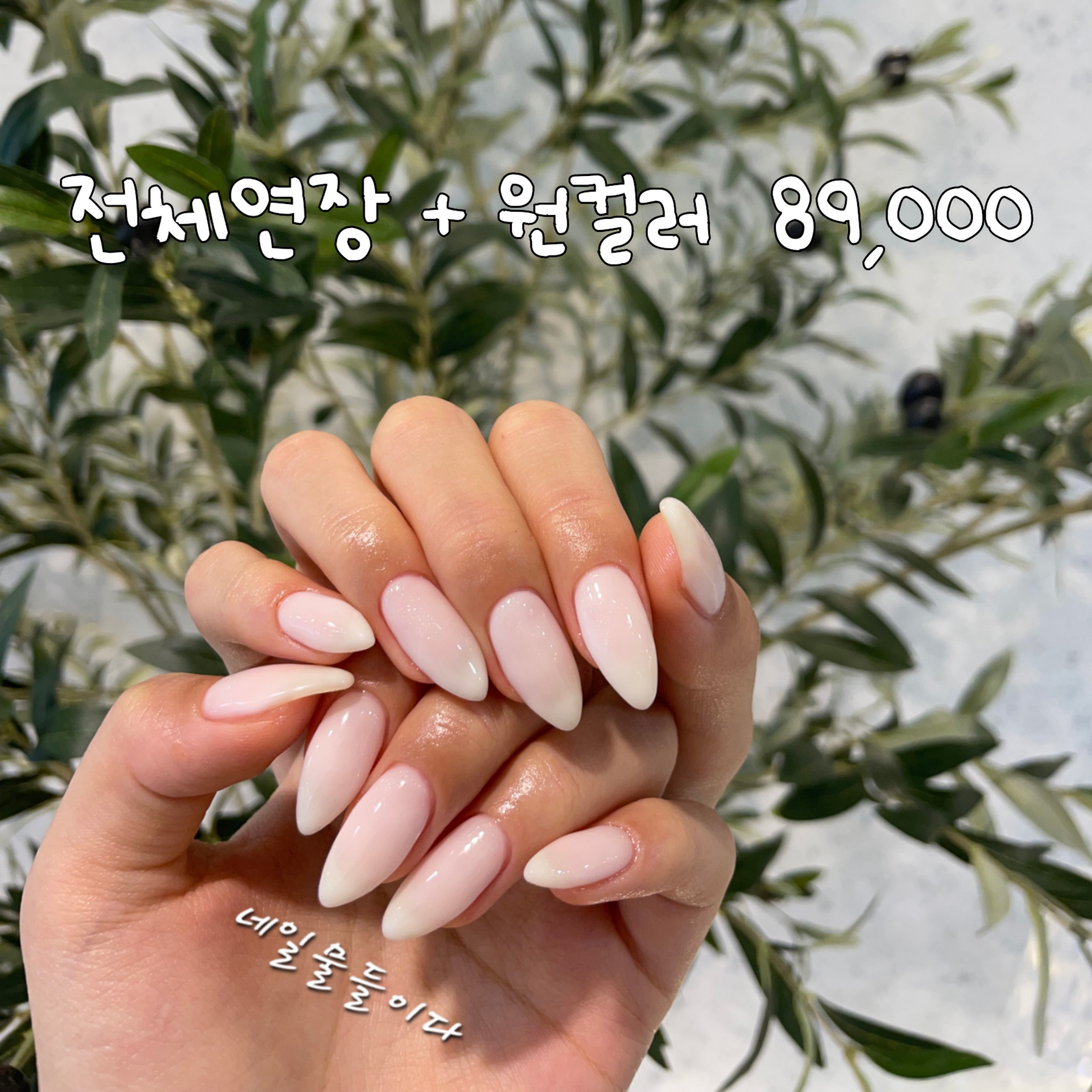 네일물들이다