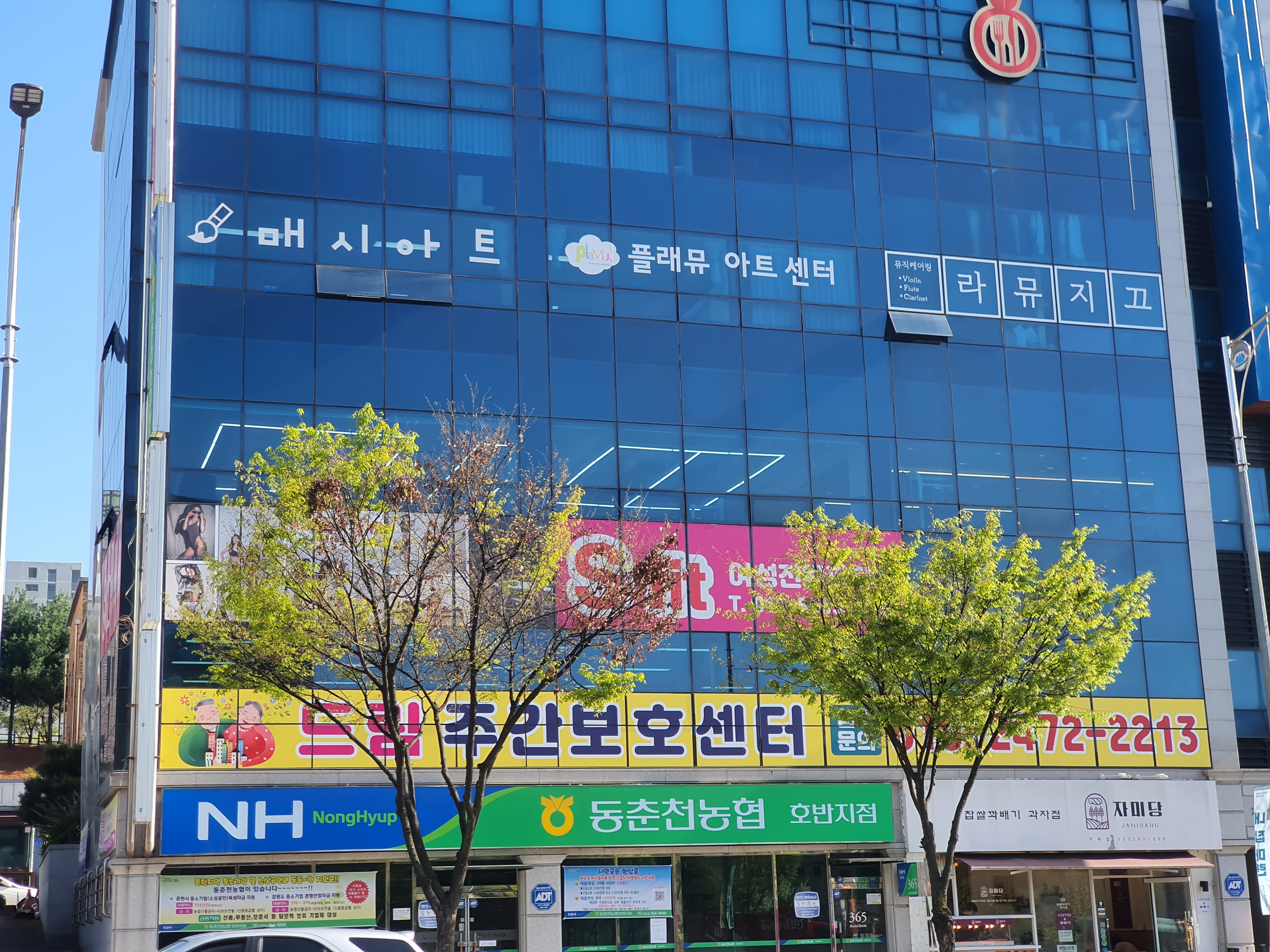 자미당 거두점