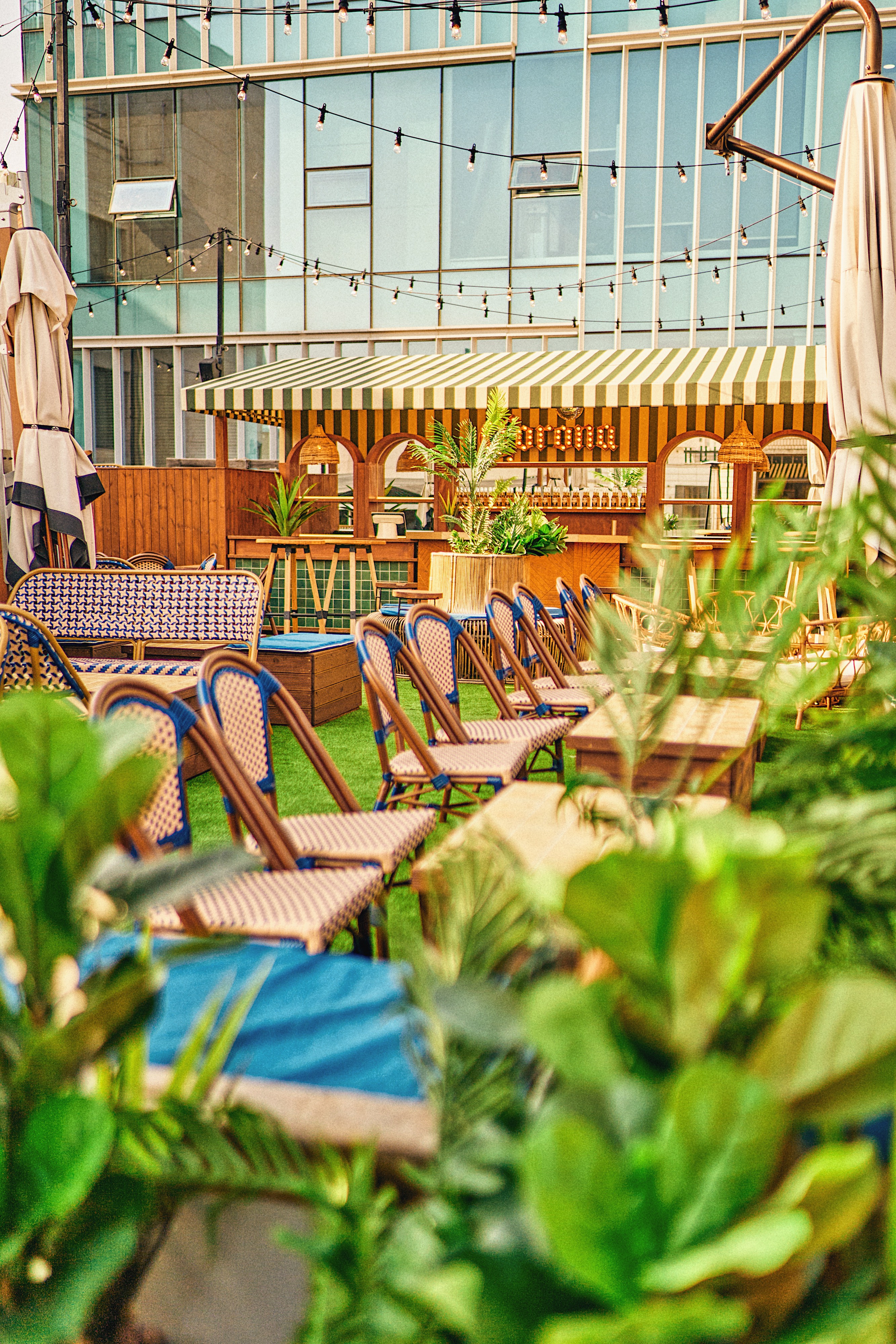 카사 코로나 내부 또는 관련 모습