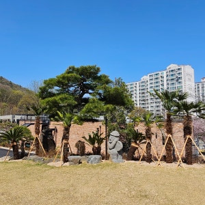 더 노은로 캠핑장