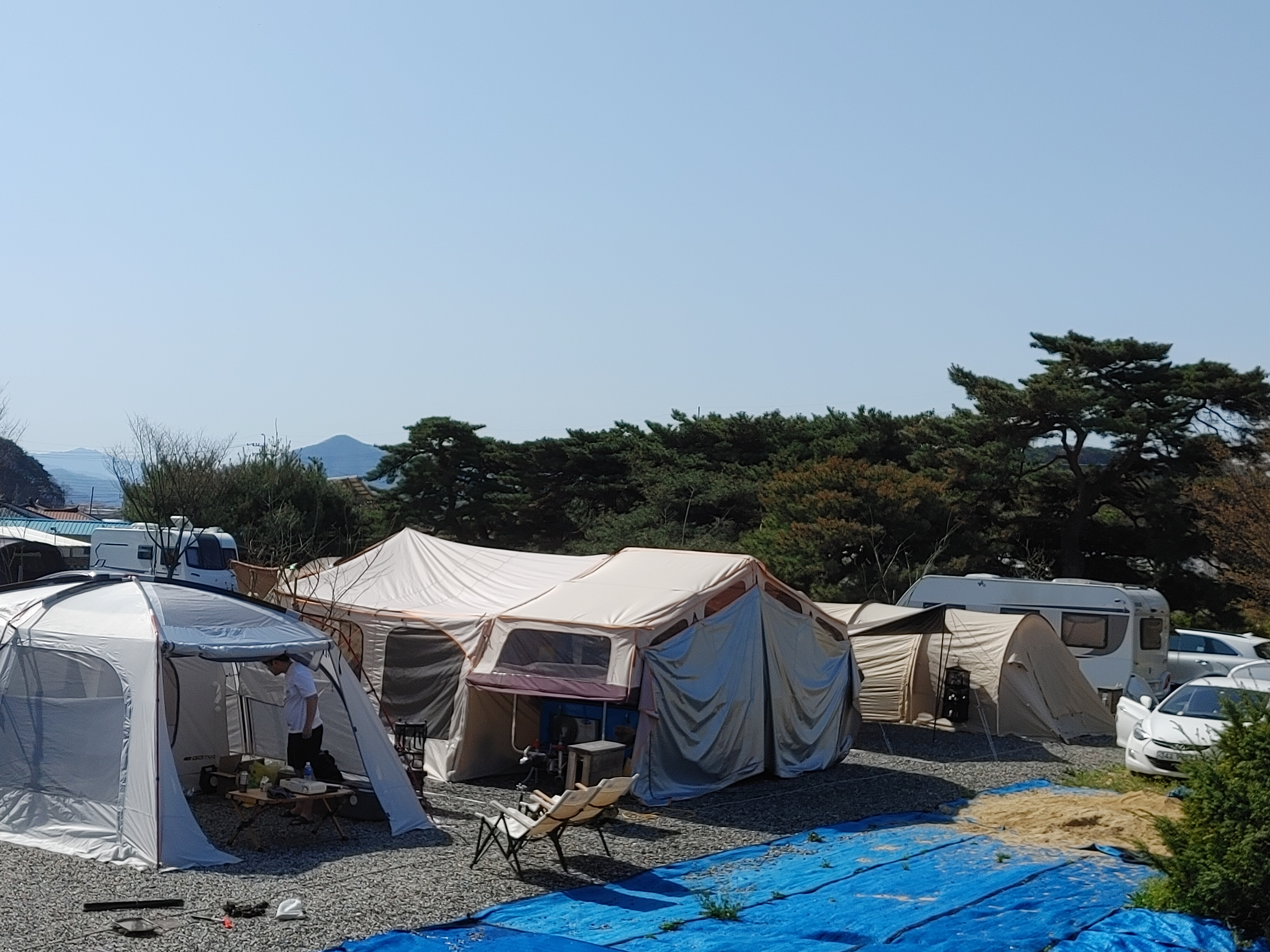 정이품송관광농원