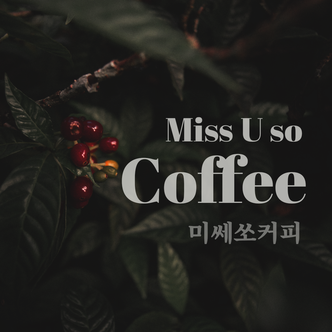 미쎄쏘커피