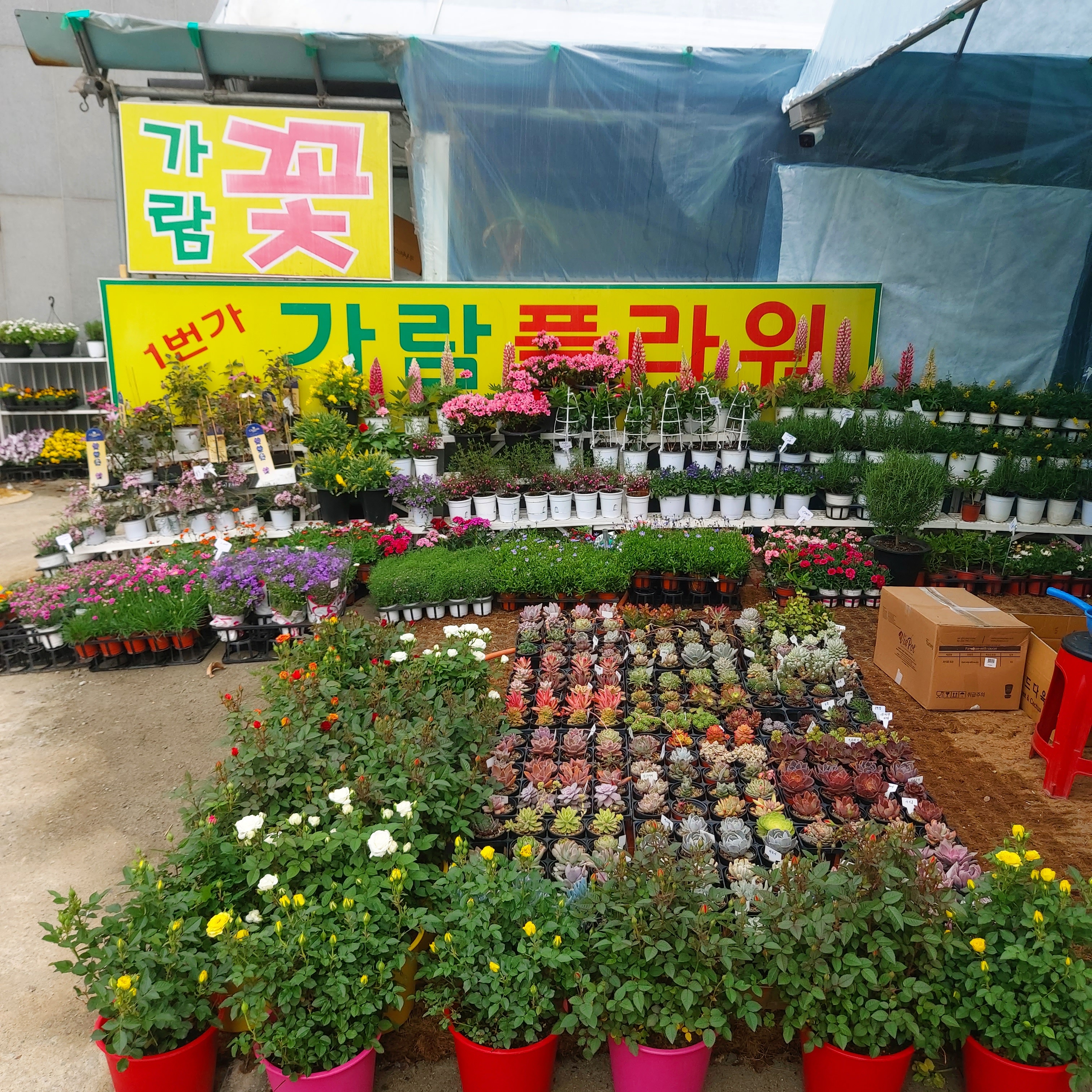 가람꽃농원