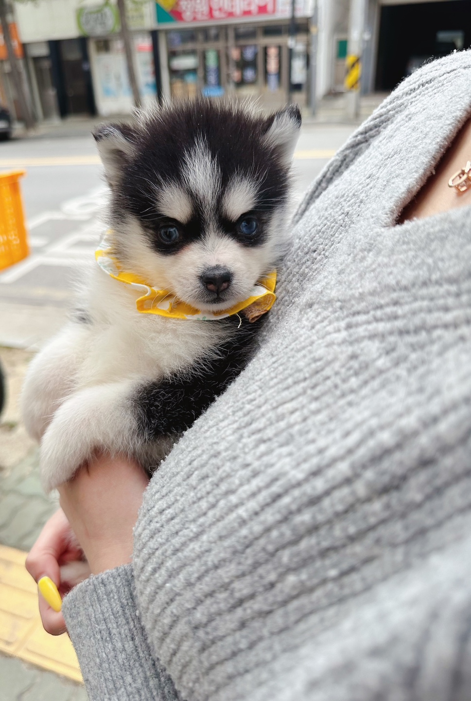 멍샵 인천본점
