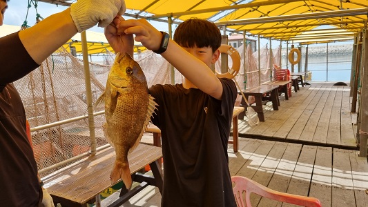 스카이바다좌대낚시