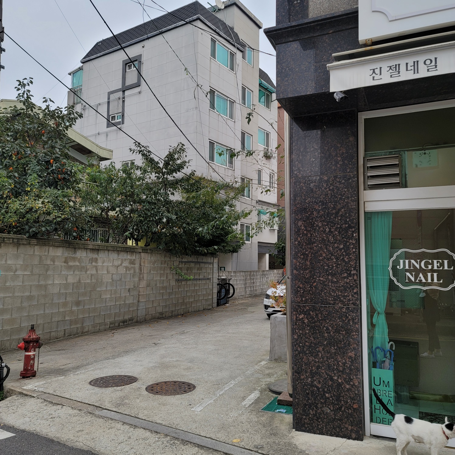 진젤네일 대표 이미지