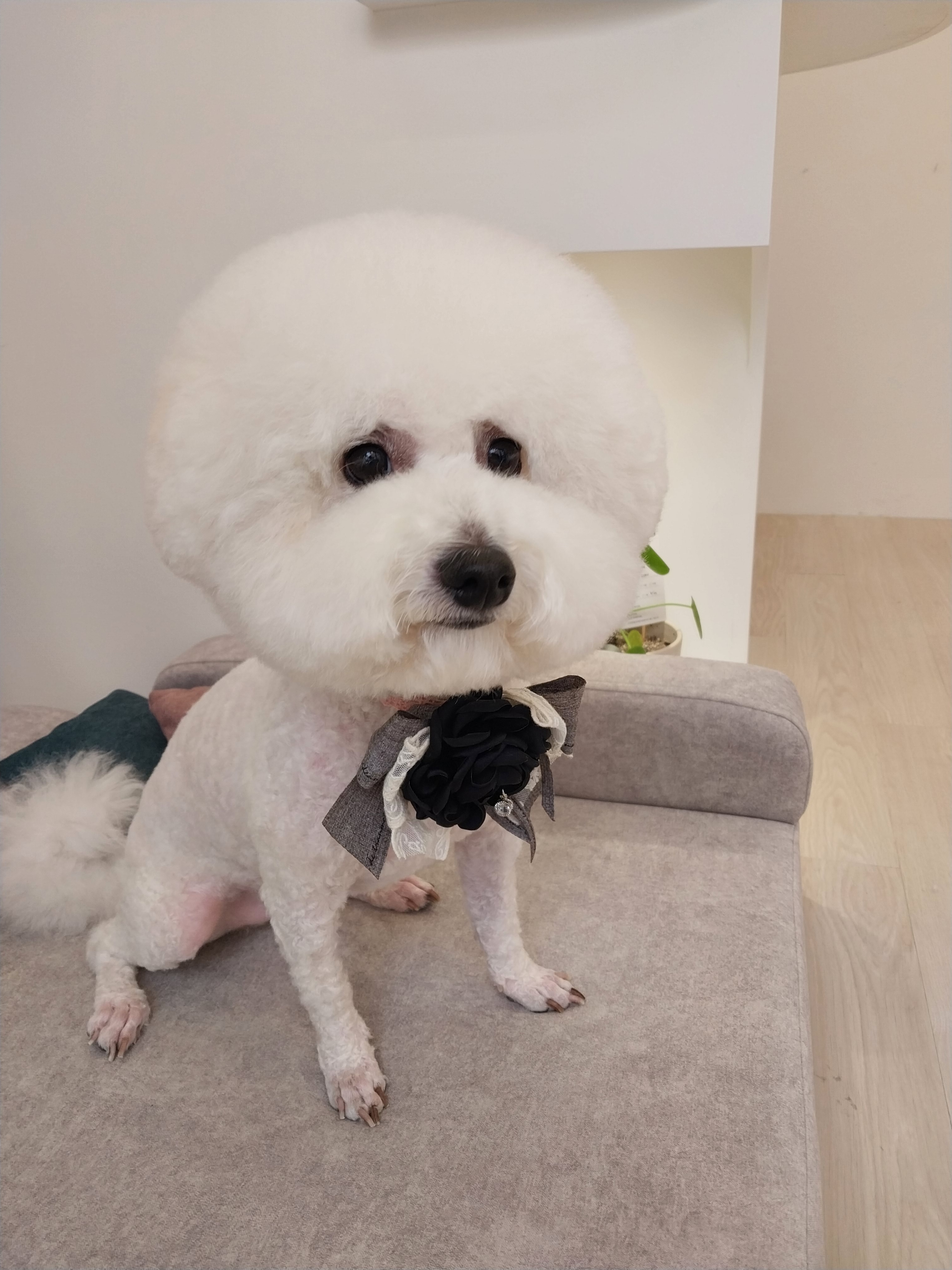 모찌네 살롱 대표 이미지
