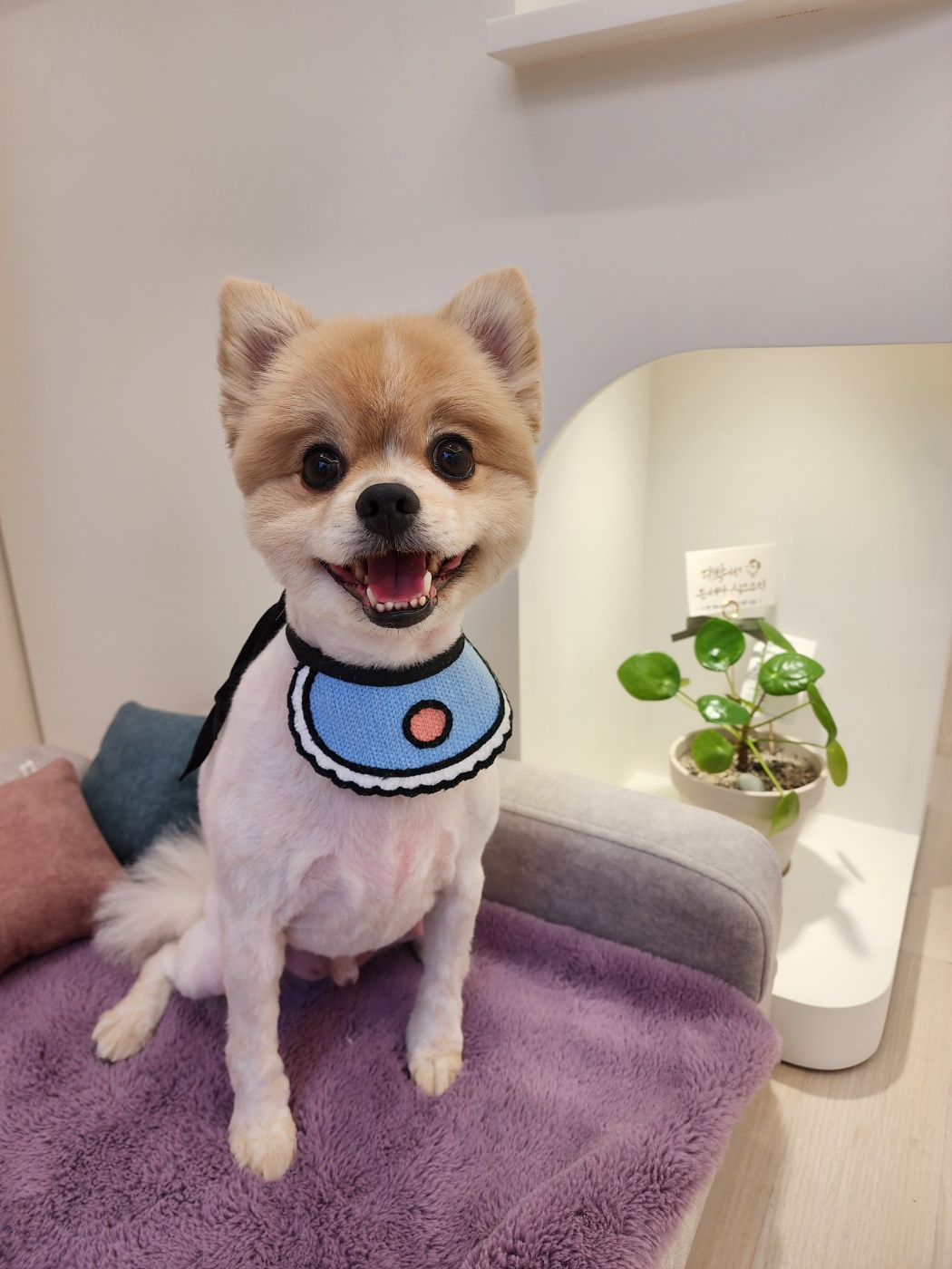 모찌네 살롱 대표 이미지