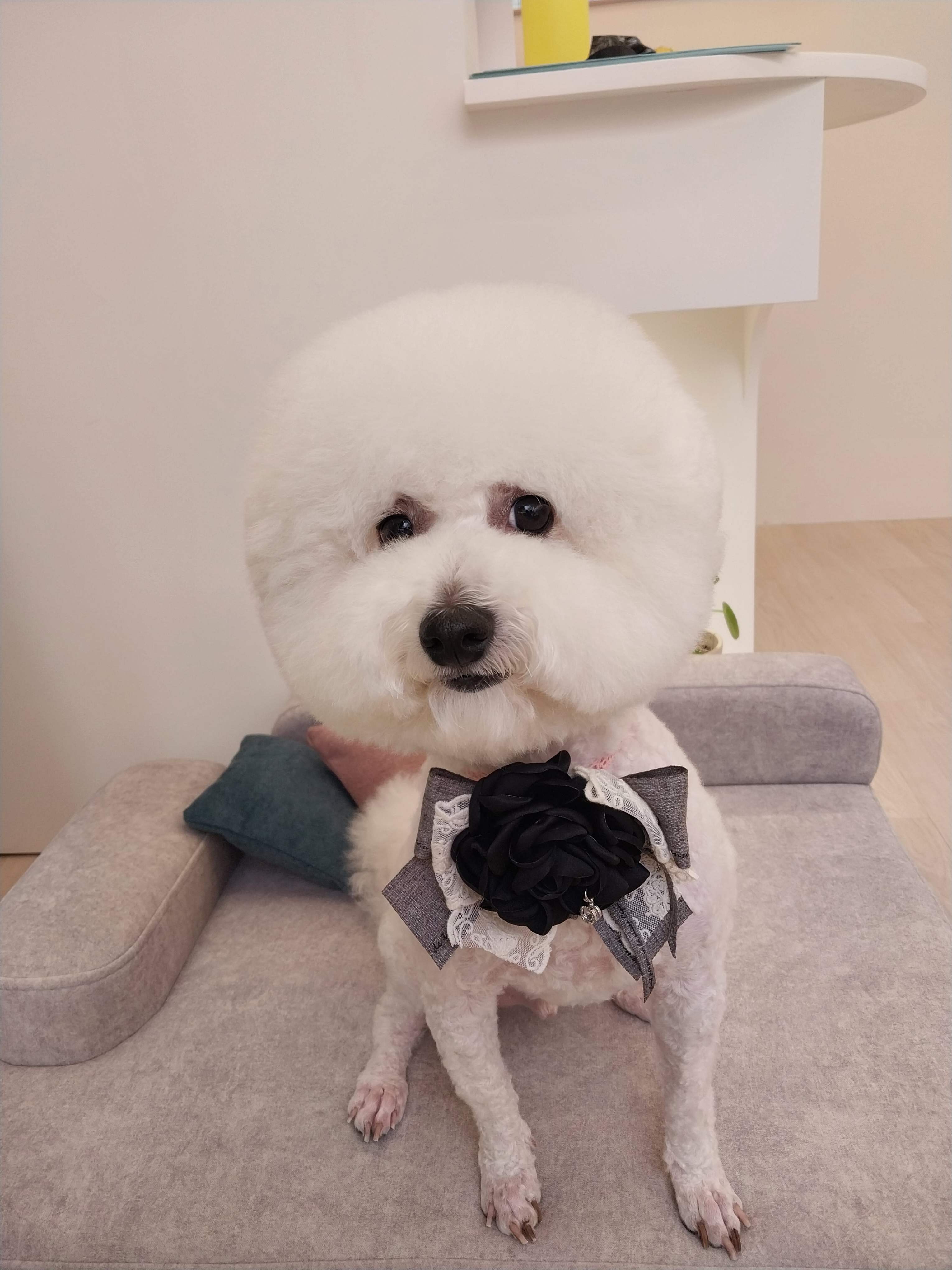 모찌네 살롱 대표 이미지