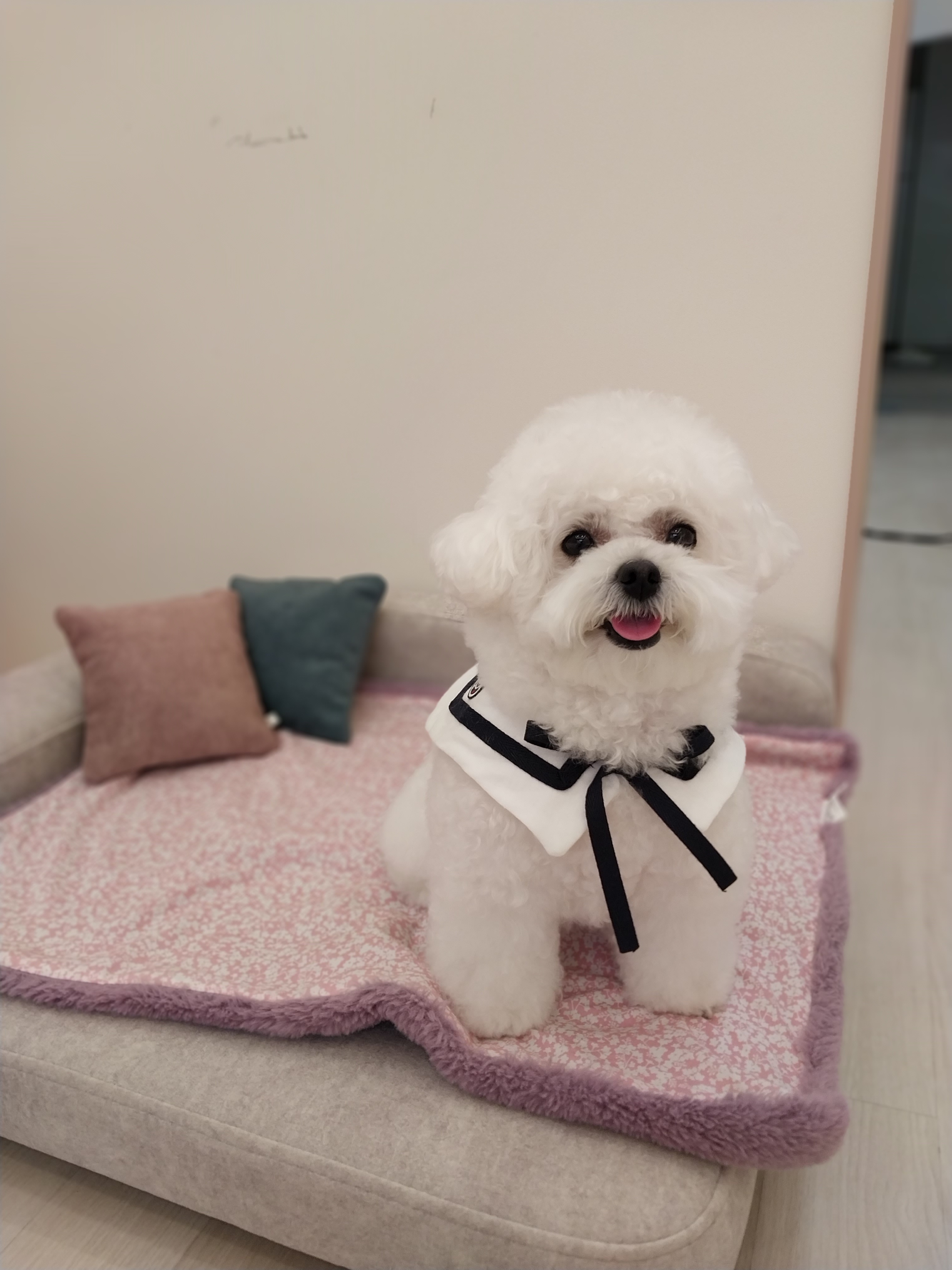 모찌네 살롱 대표 이미지