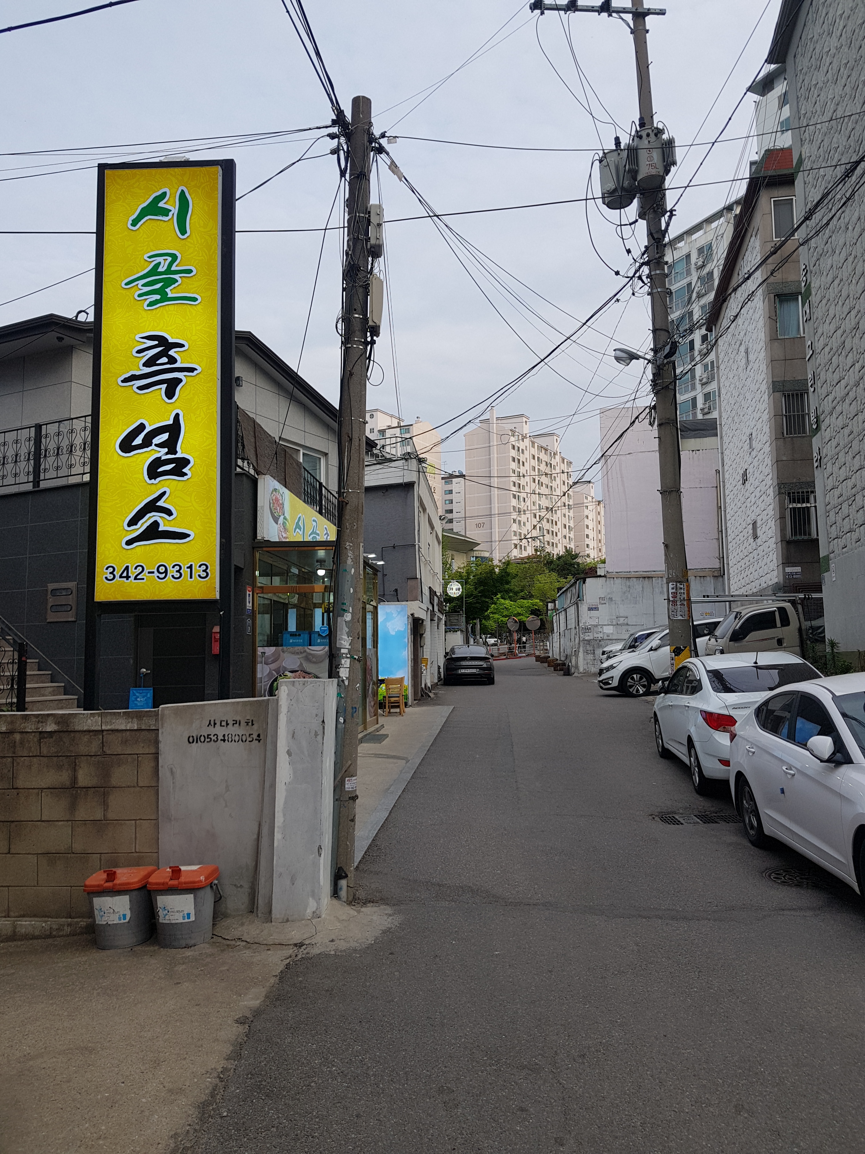 시골 흑염소