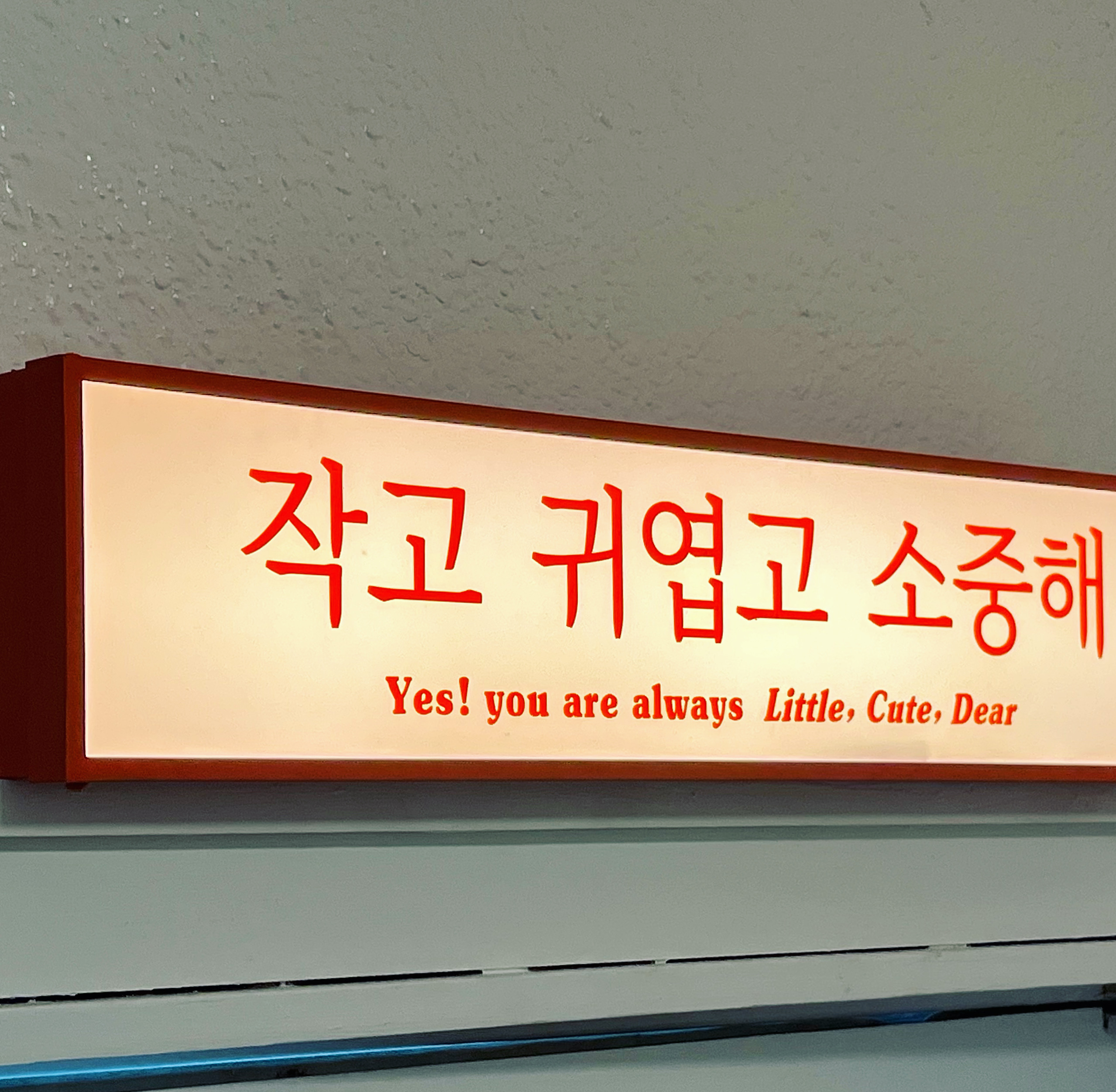 작고귀엽고소중해