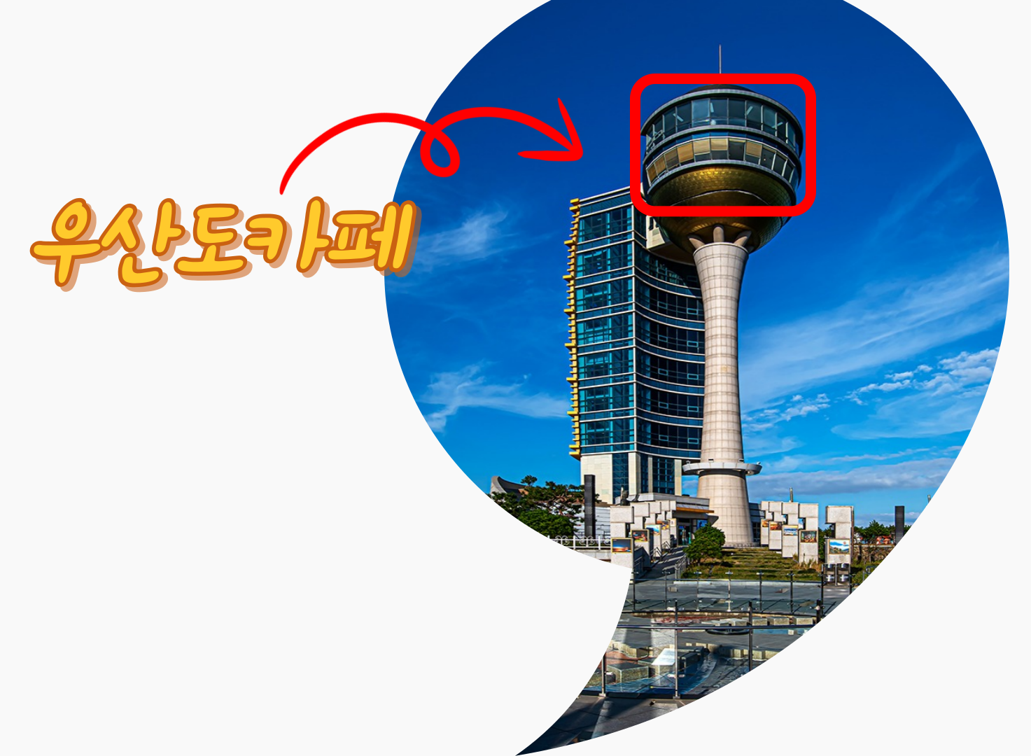 우산도카페 전라 애견맛집