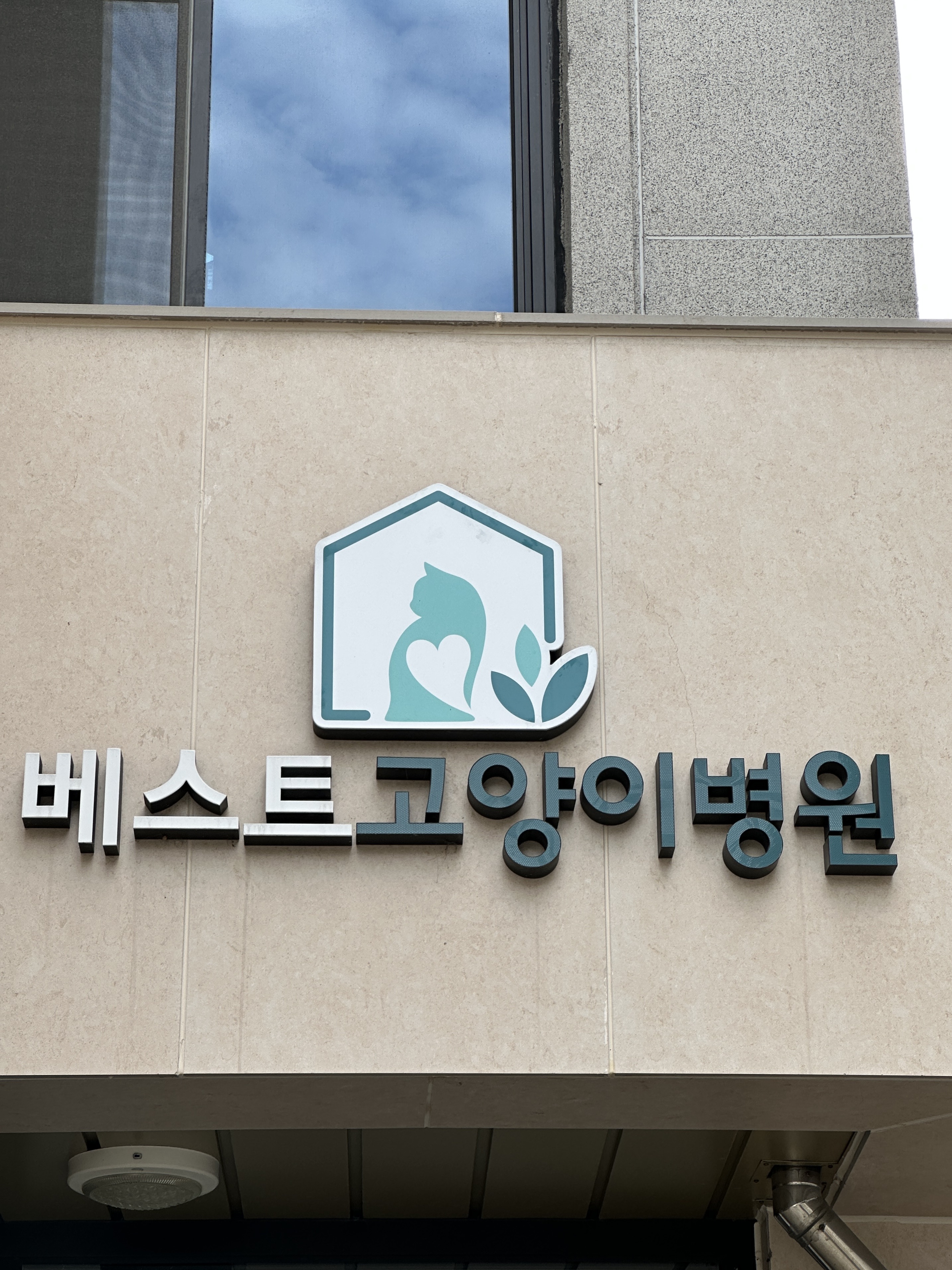 베스트고양이병원 대표 이미지