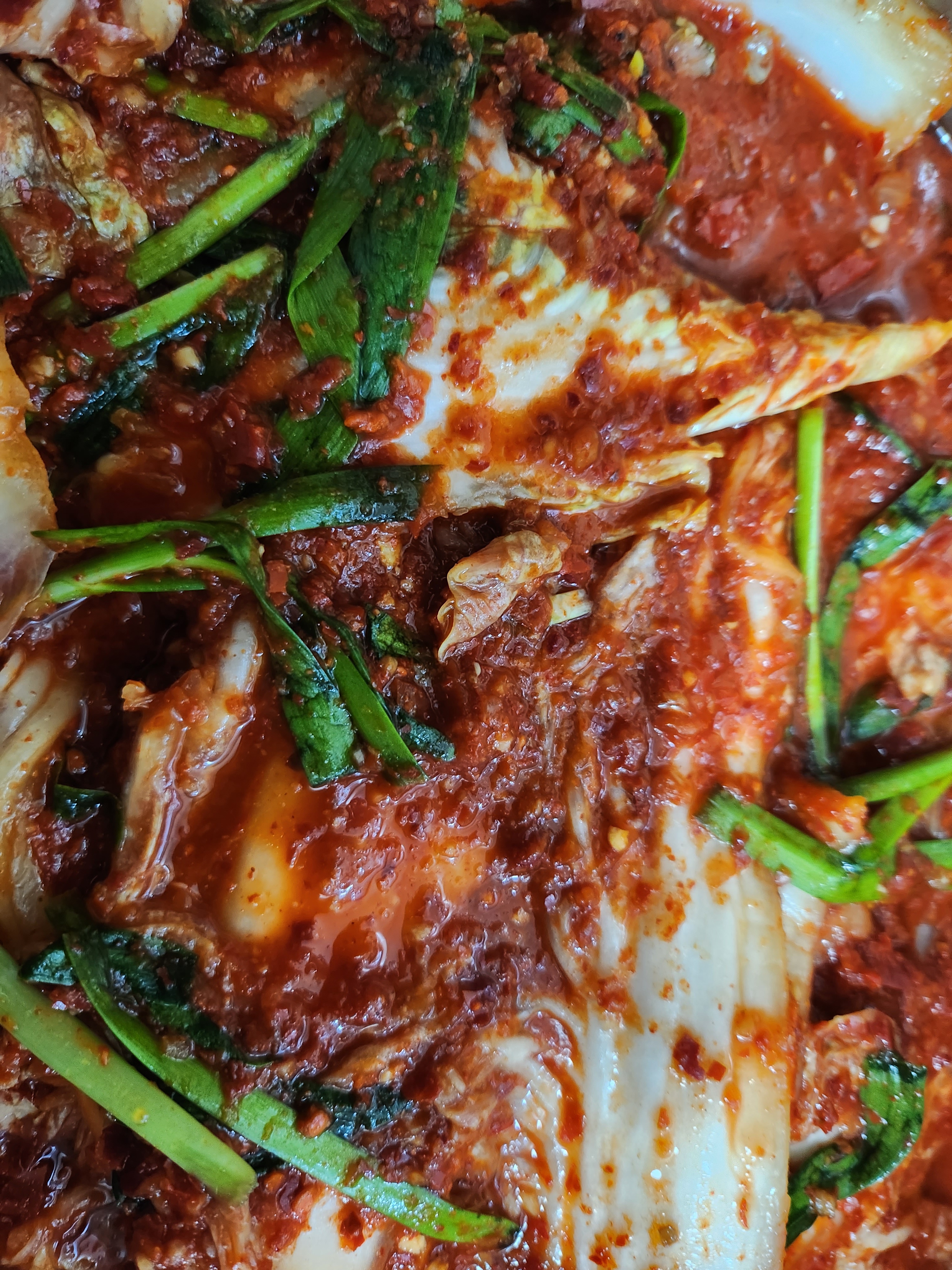 참밀그린바지락칼국수