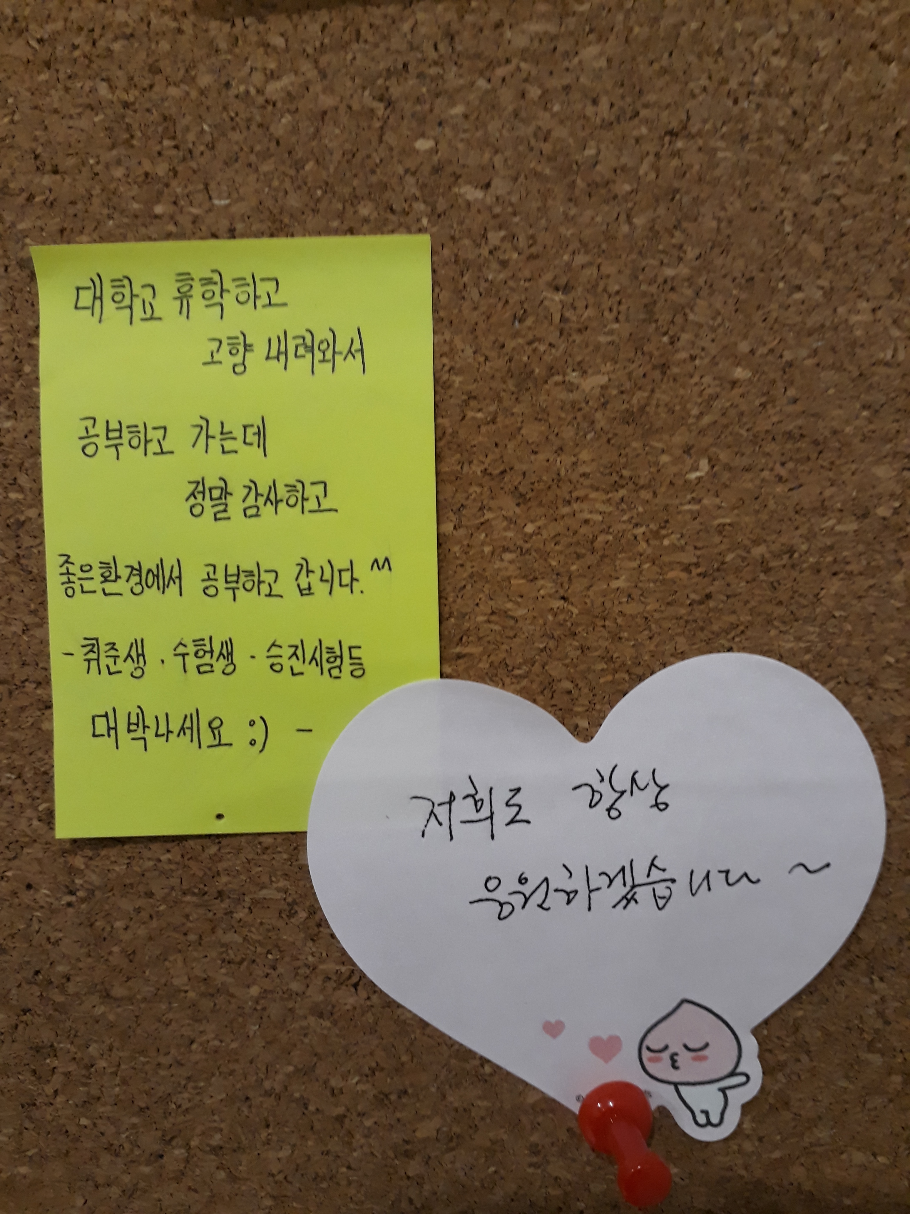 업체사진