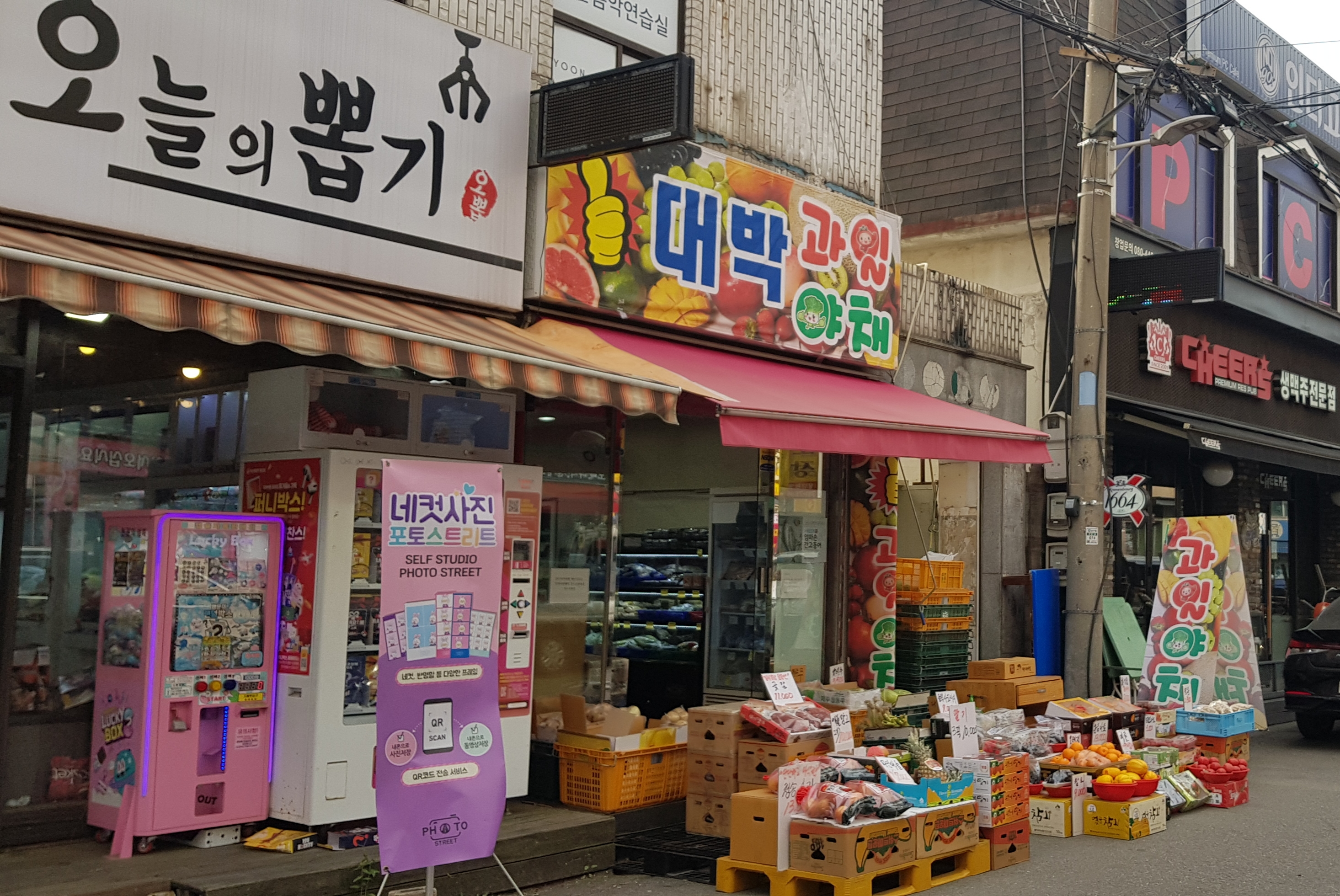 대박과일야채
