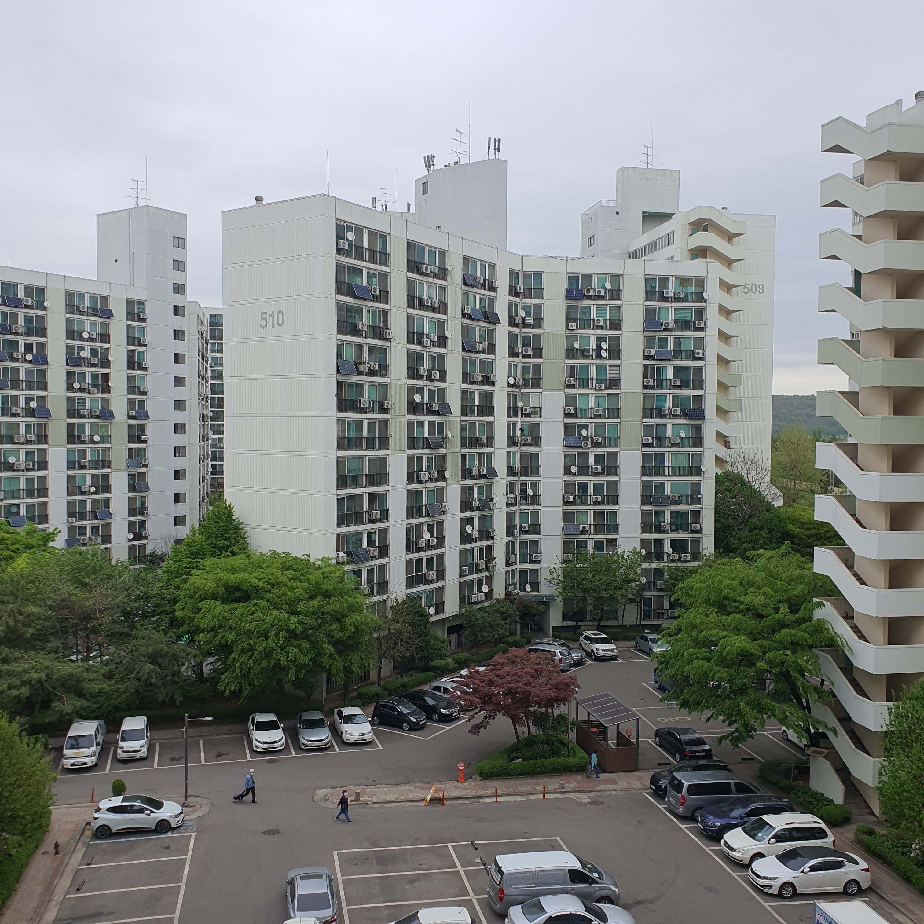 프로홈마스터