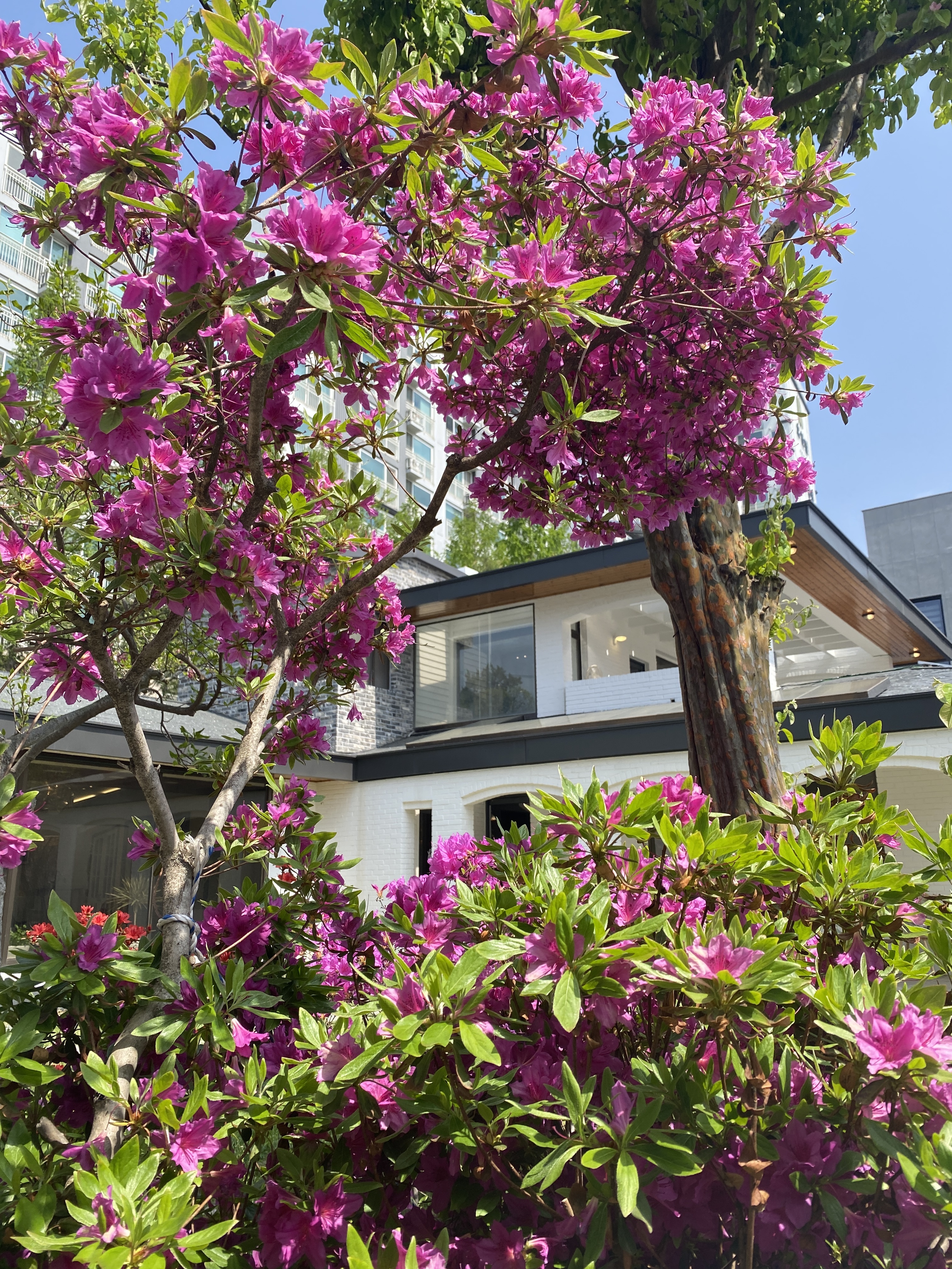 커피박 설명사진