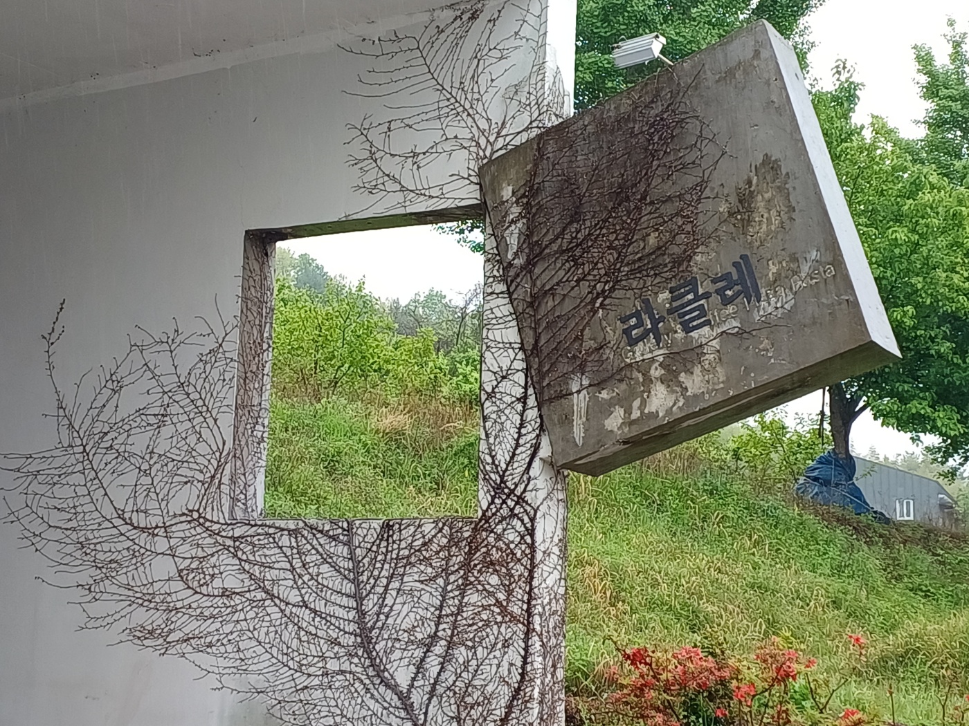 라클레