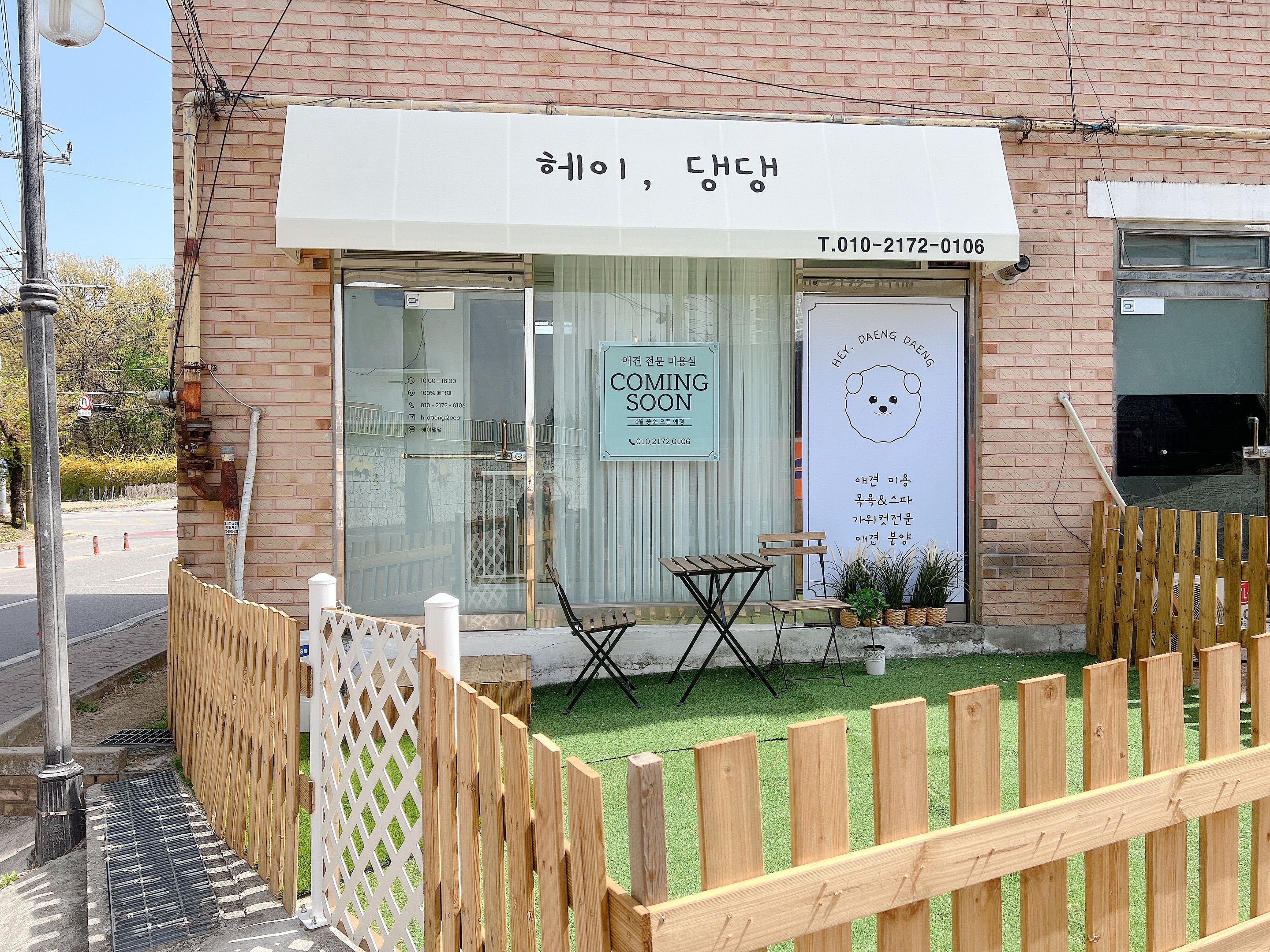 헤이댕댕 강원 애견맛집