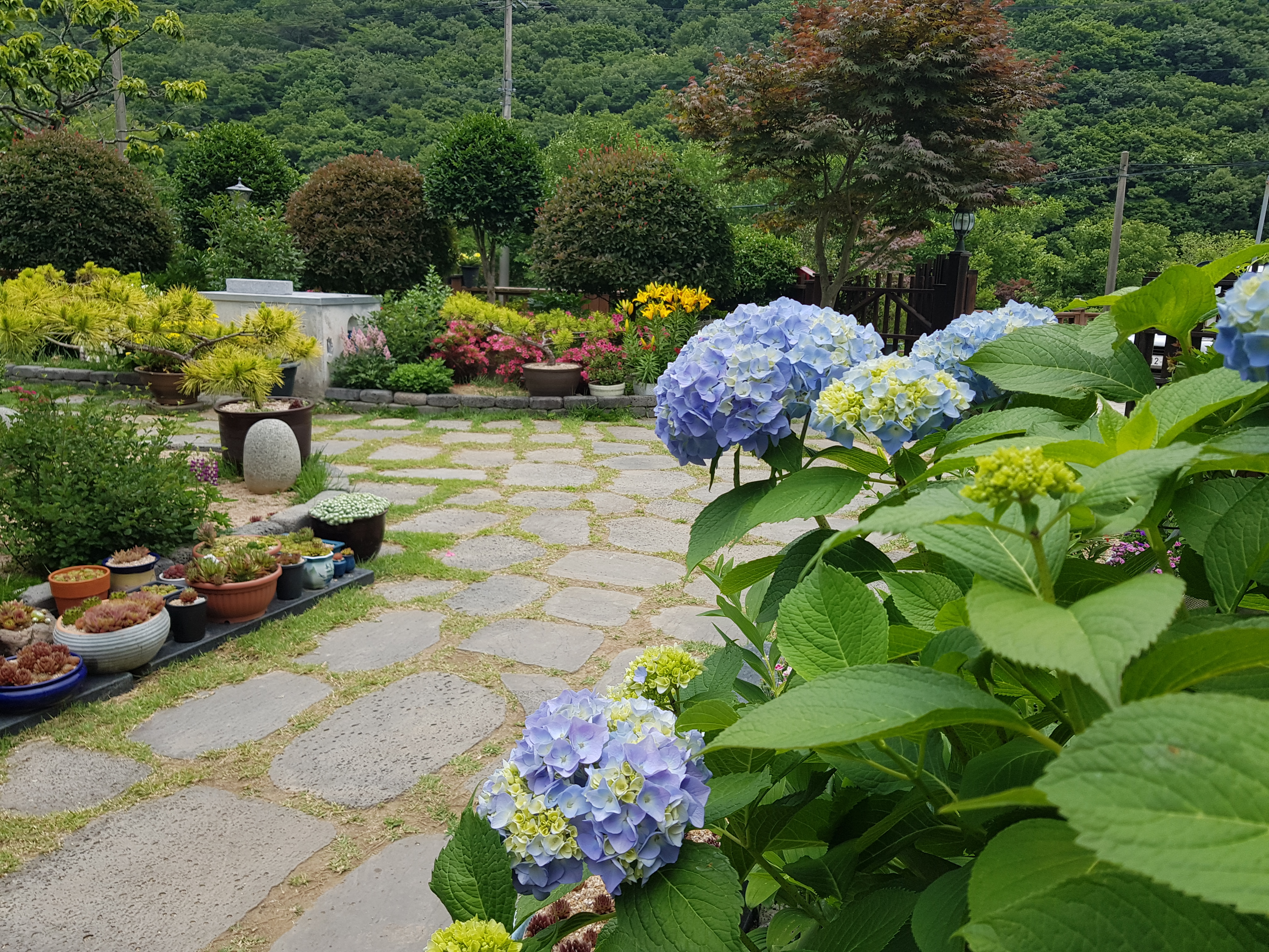 팔용펜션