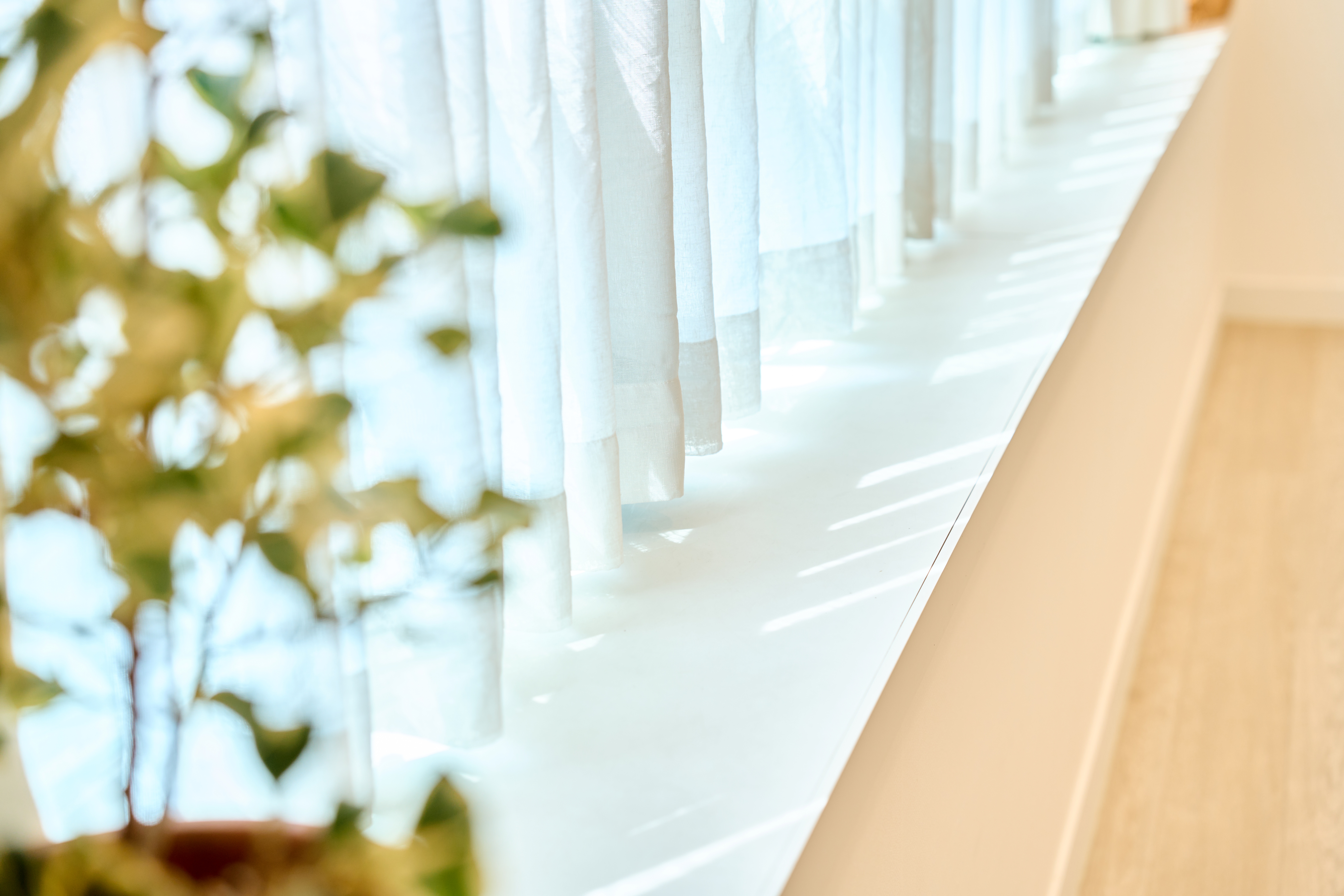 소마온요가 대표 이미지