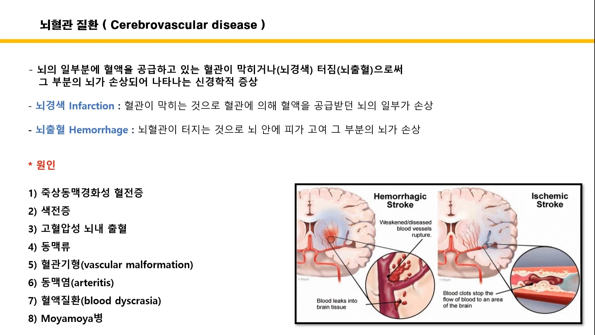 힐링파크 건강만들기