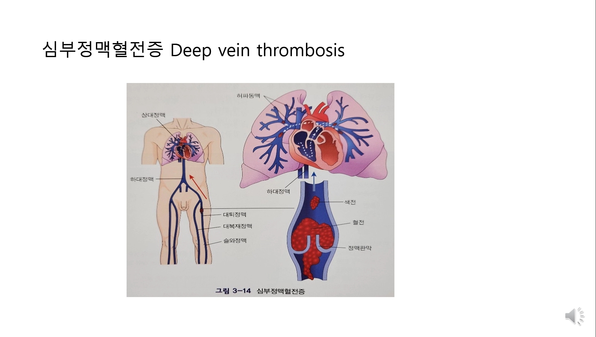 힐링파크 건강만들기